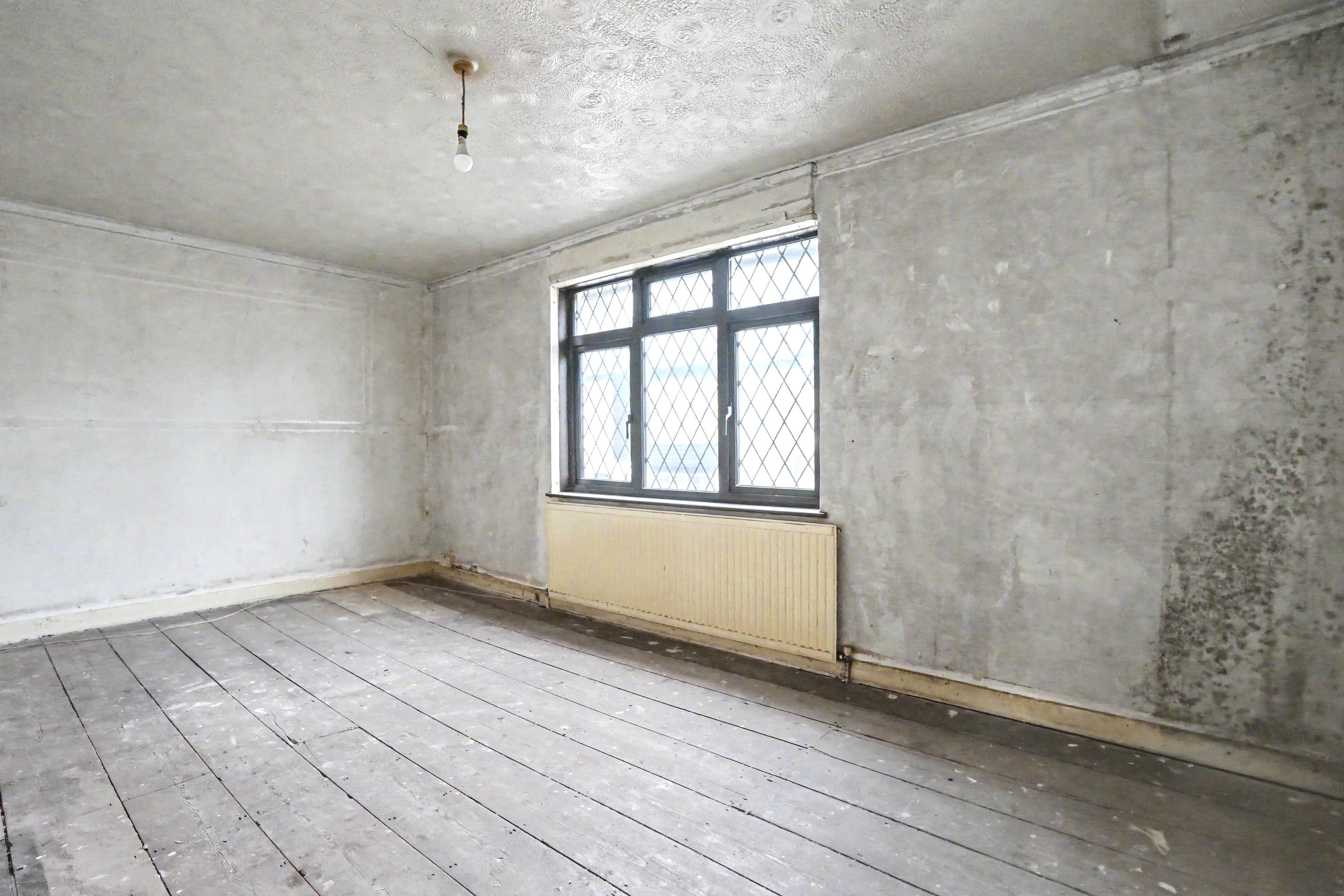 Image 10 of 24