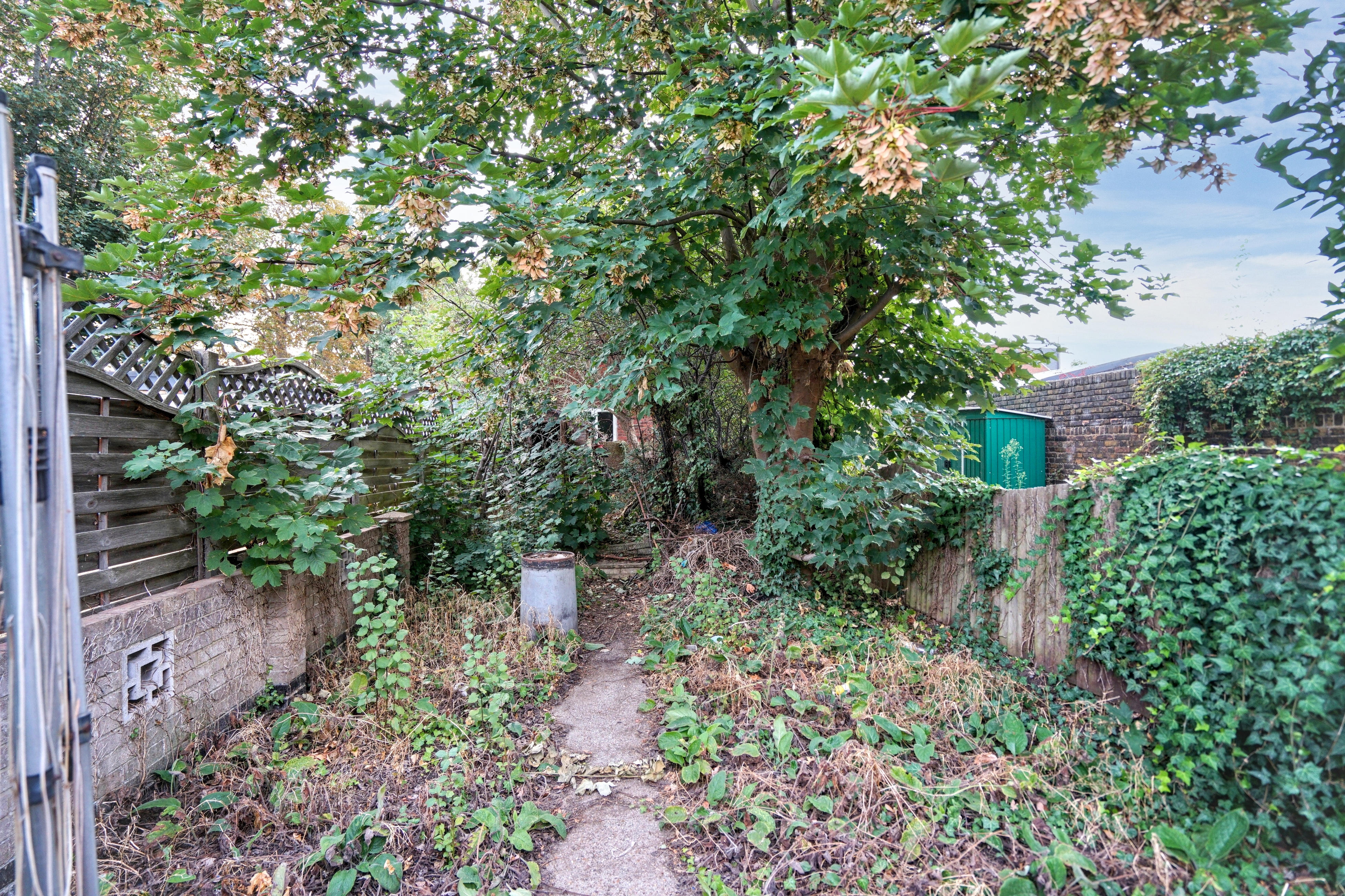 Image 22 of 24
