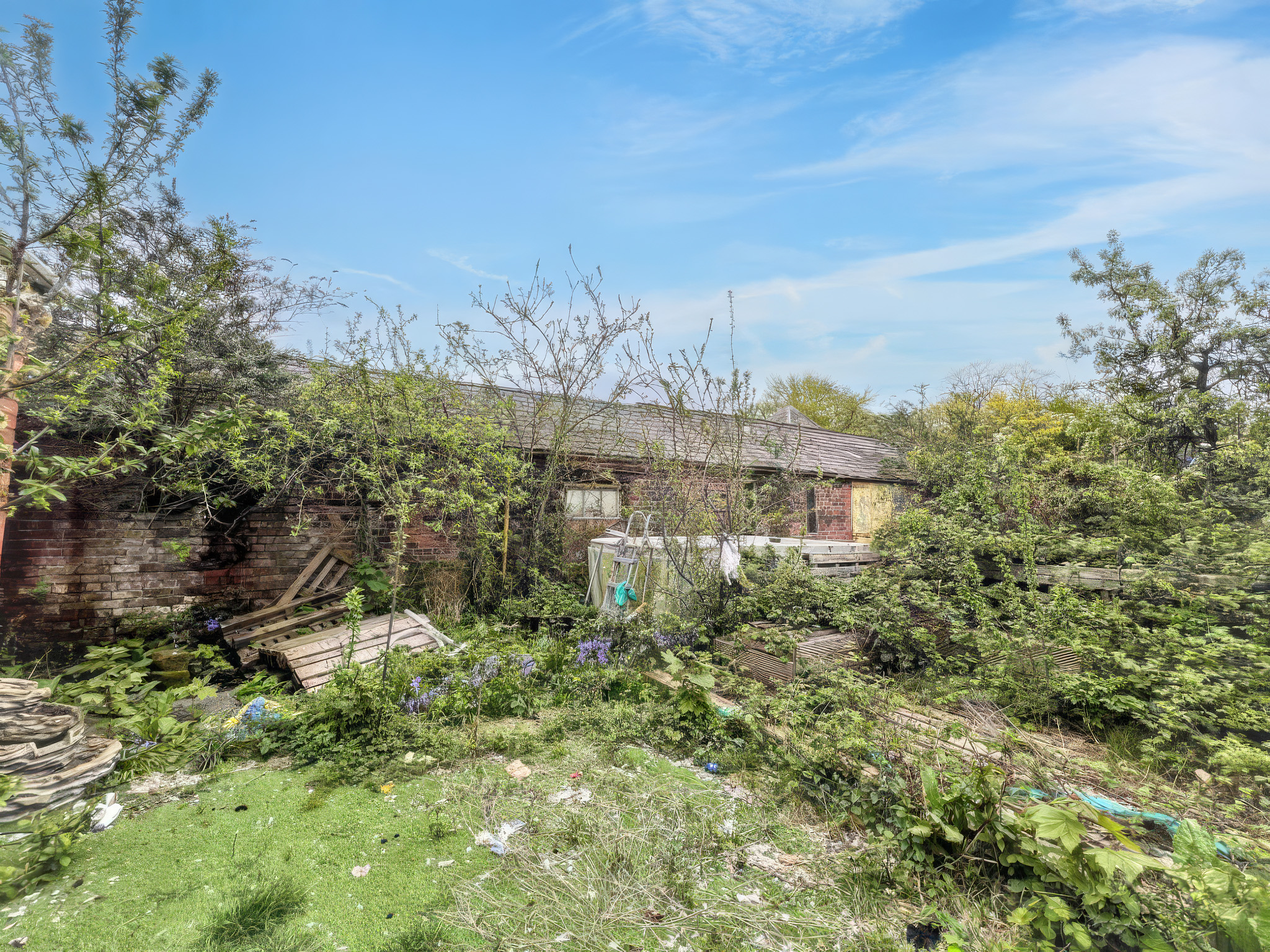 Image 12 of 13