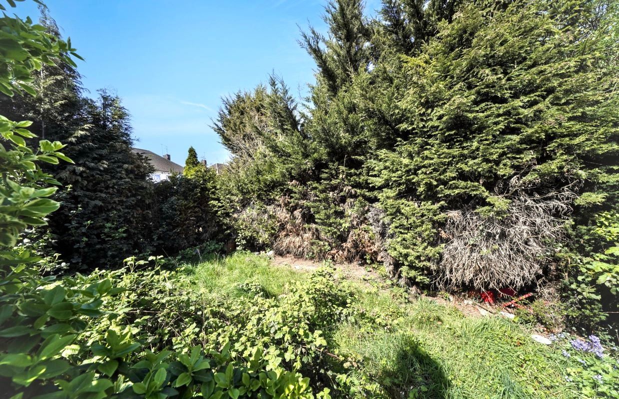 Image 7 of 8