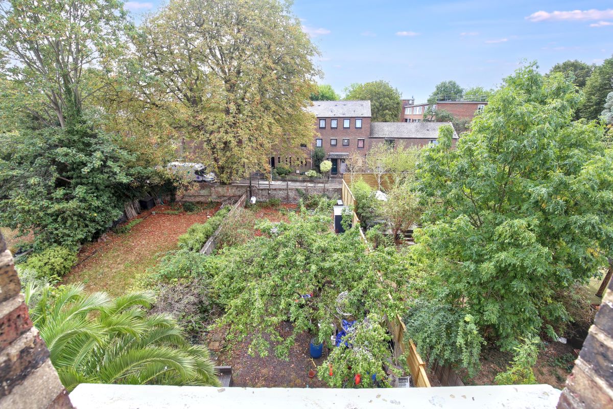 Image 11 of 12