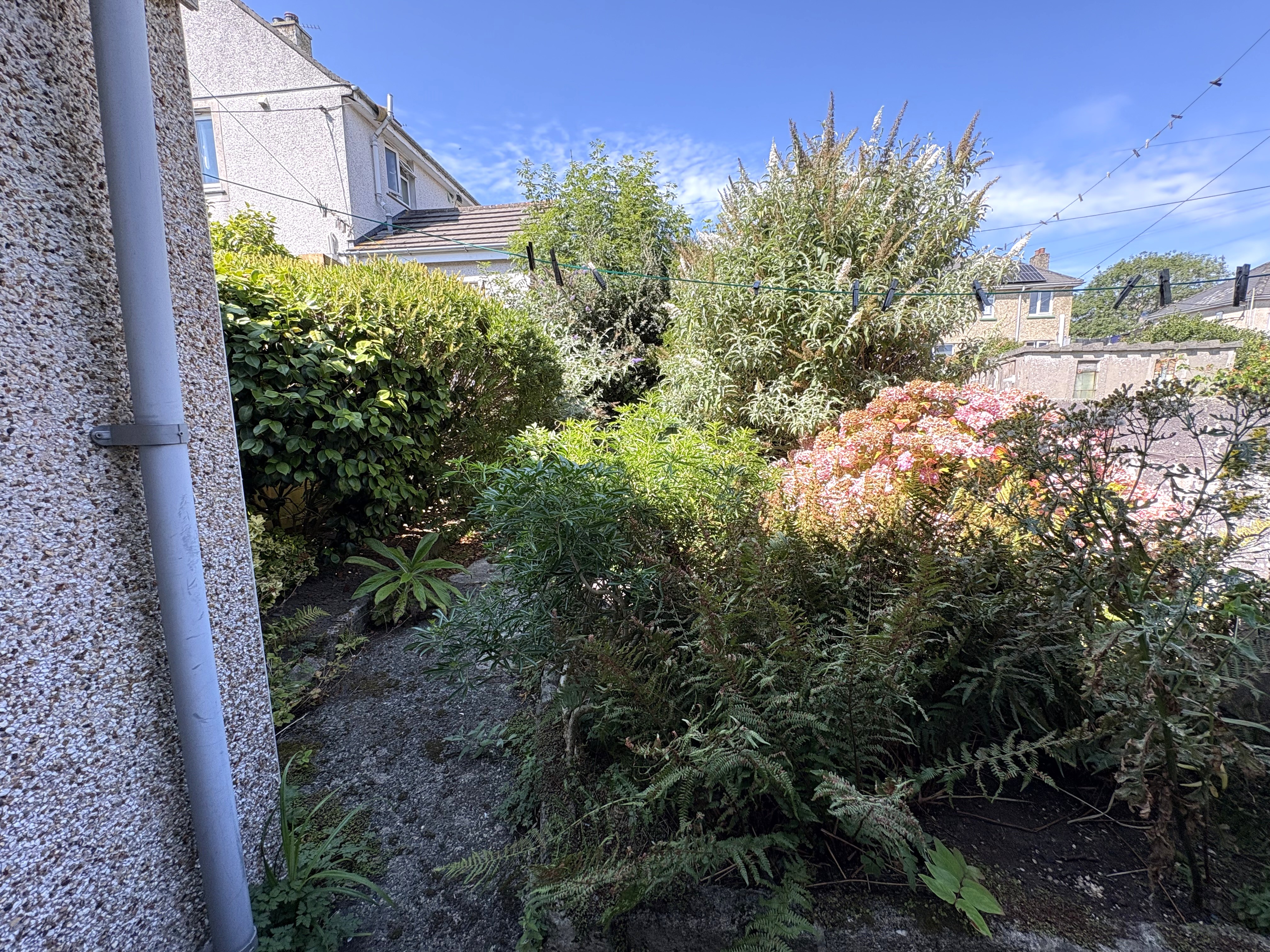 Image 8 of 9