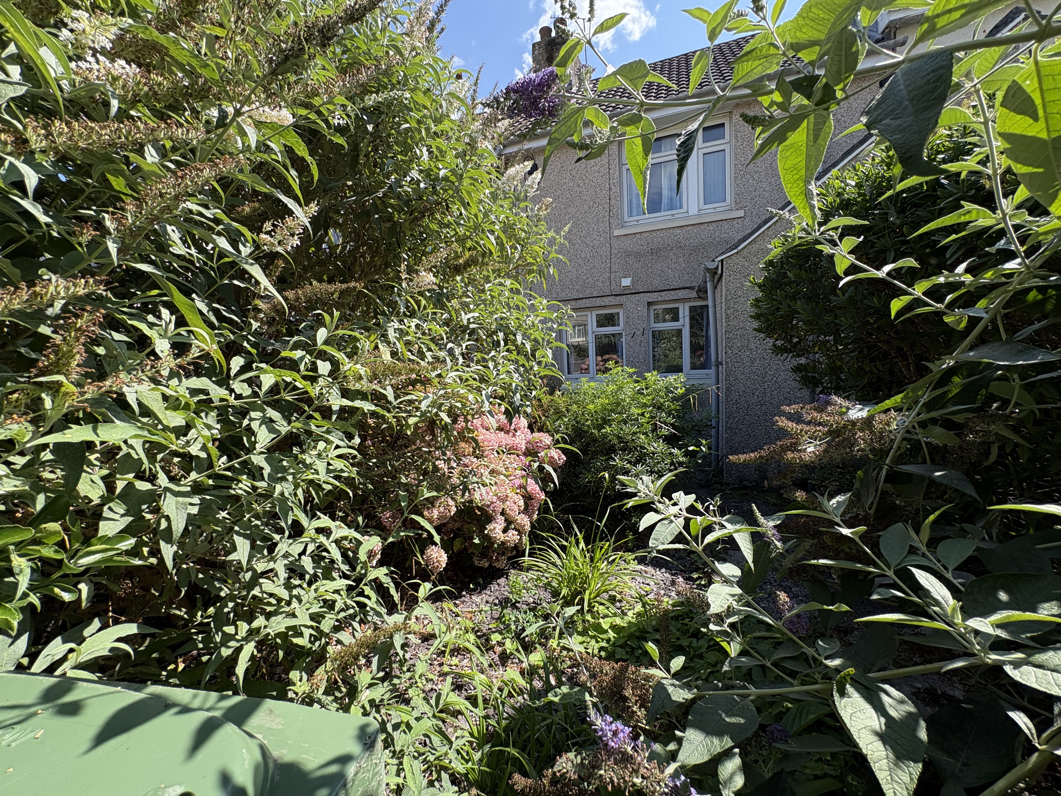 Image 9 of 9