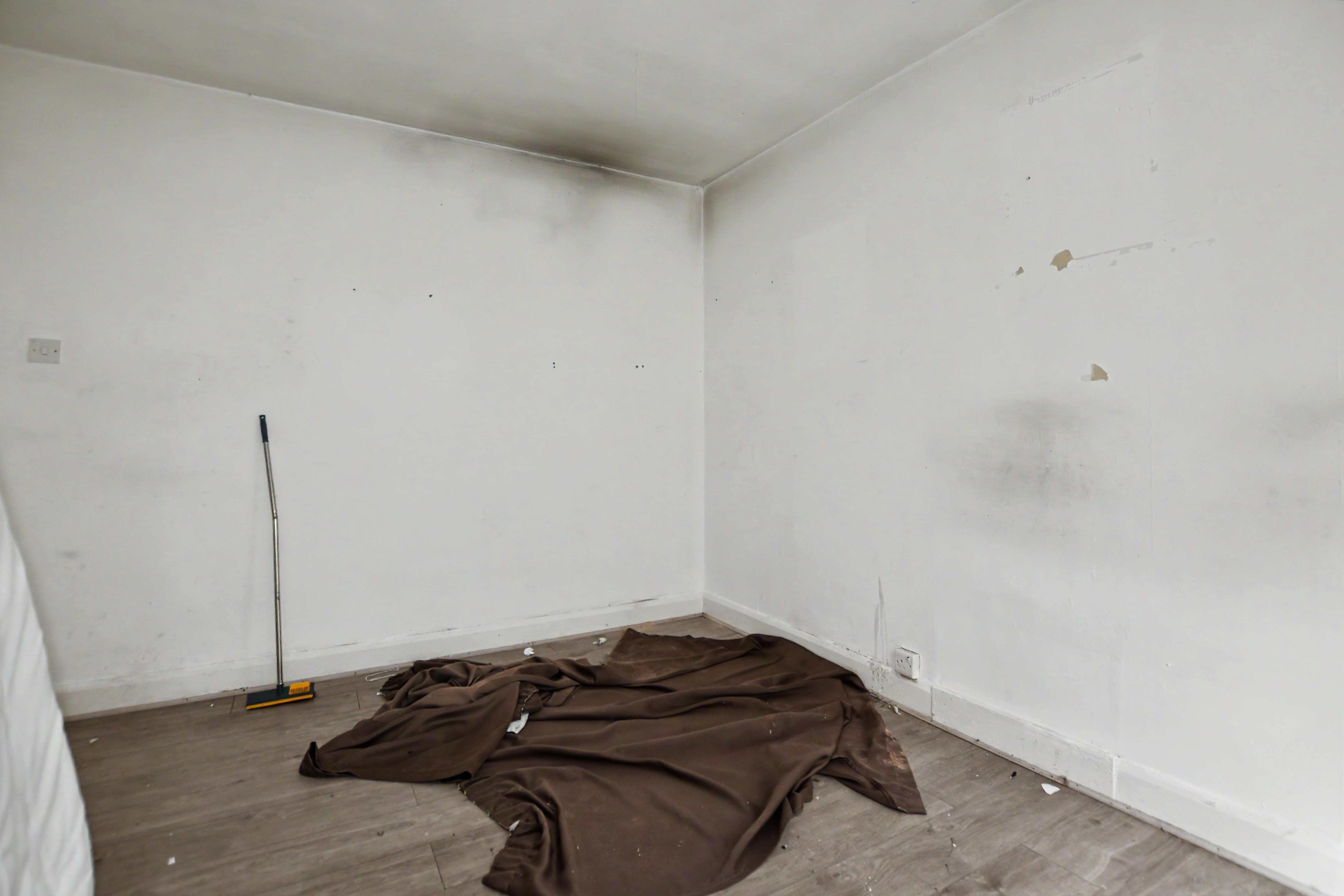 Image 8 of 15
