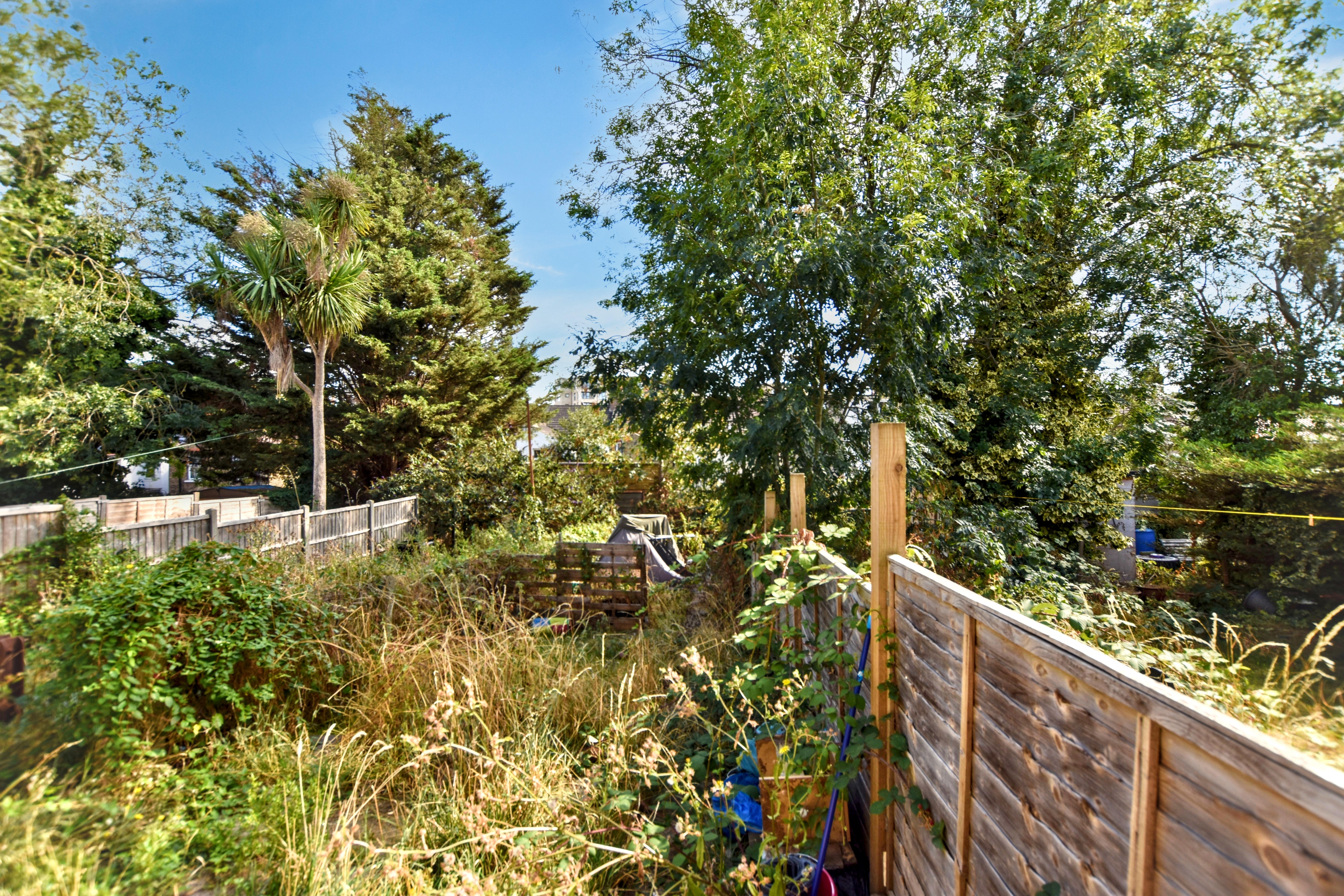 Image 12 of 15