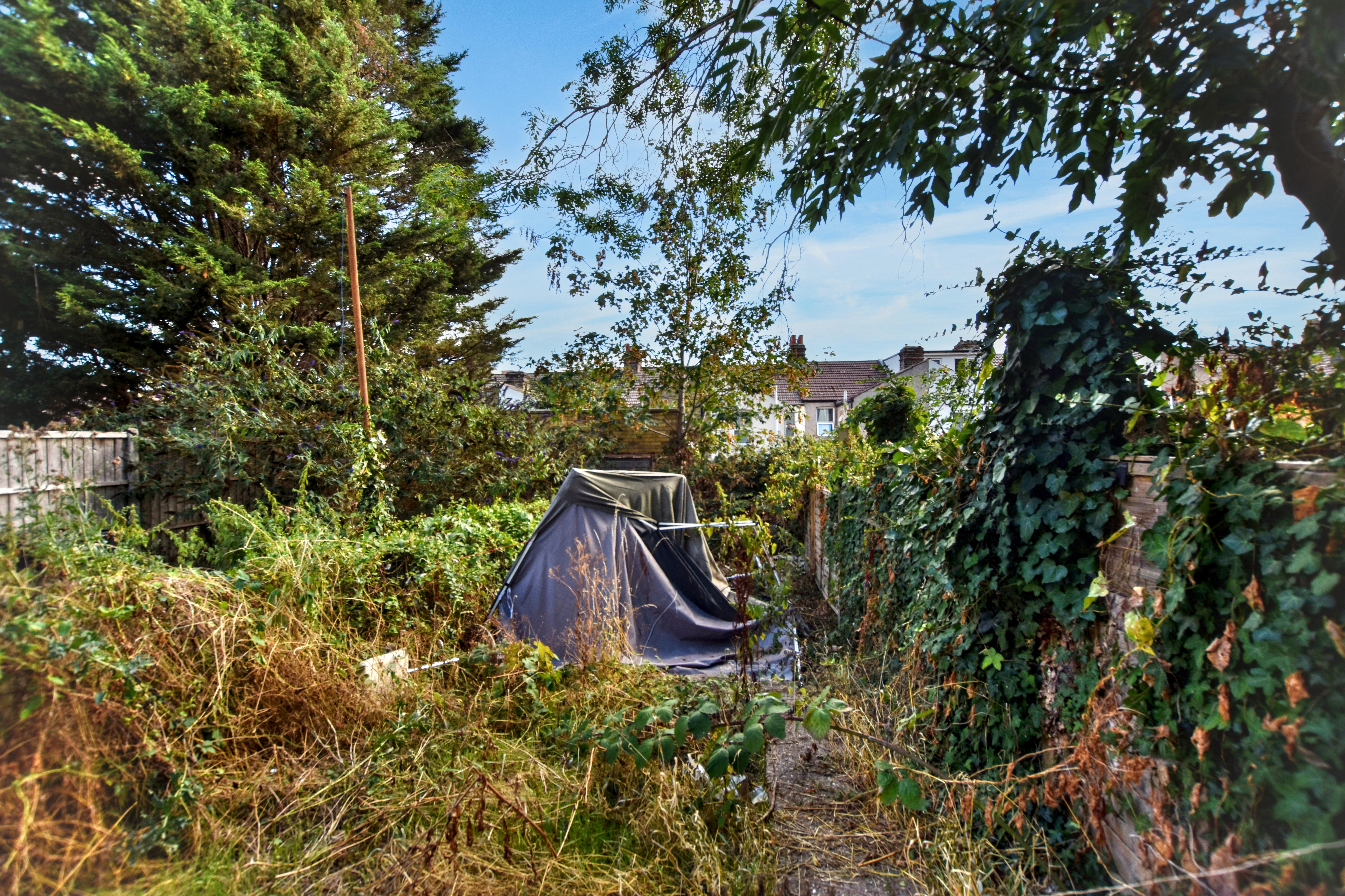 Image 13 of 15