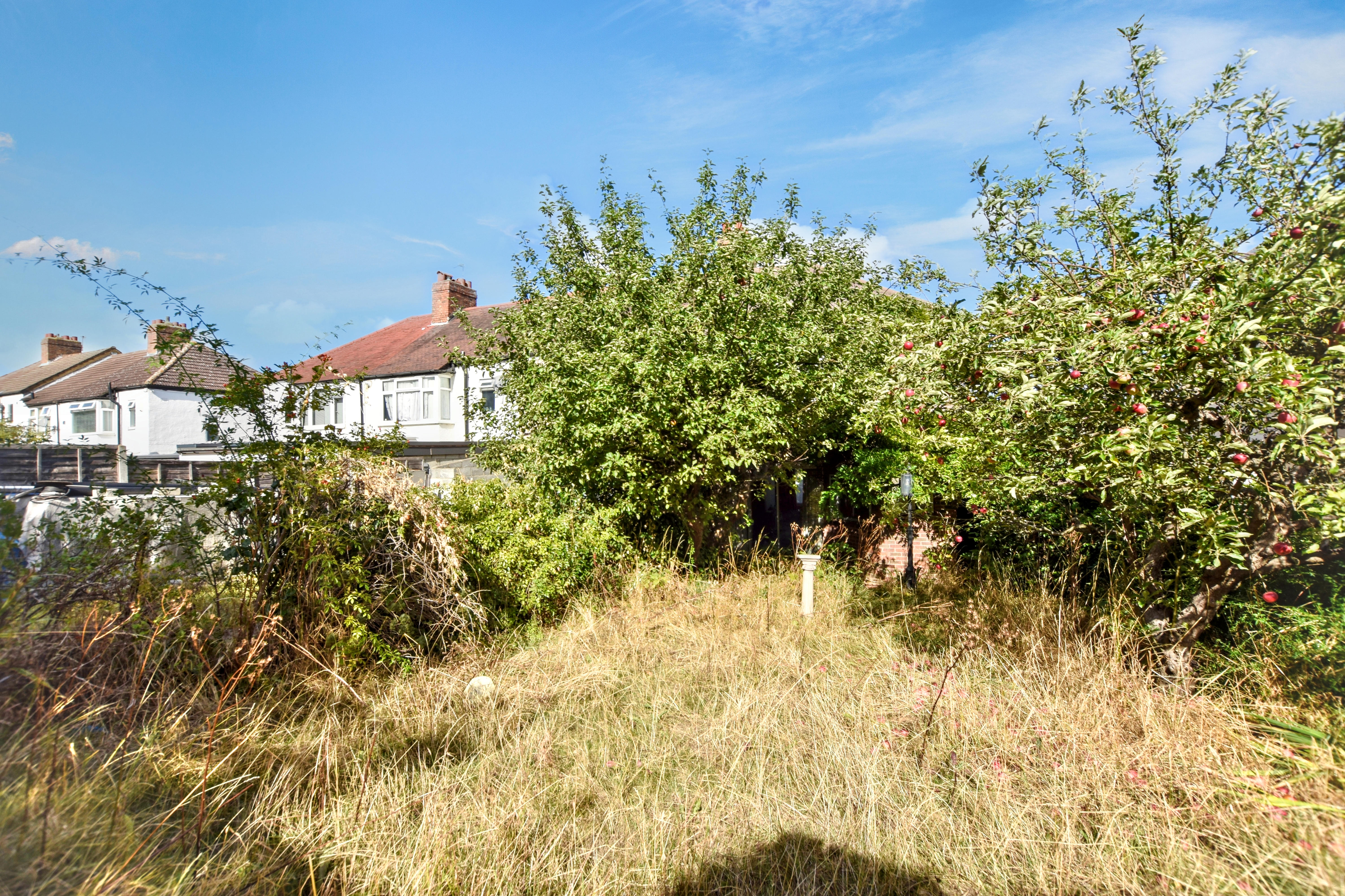 Image 17 of 18