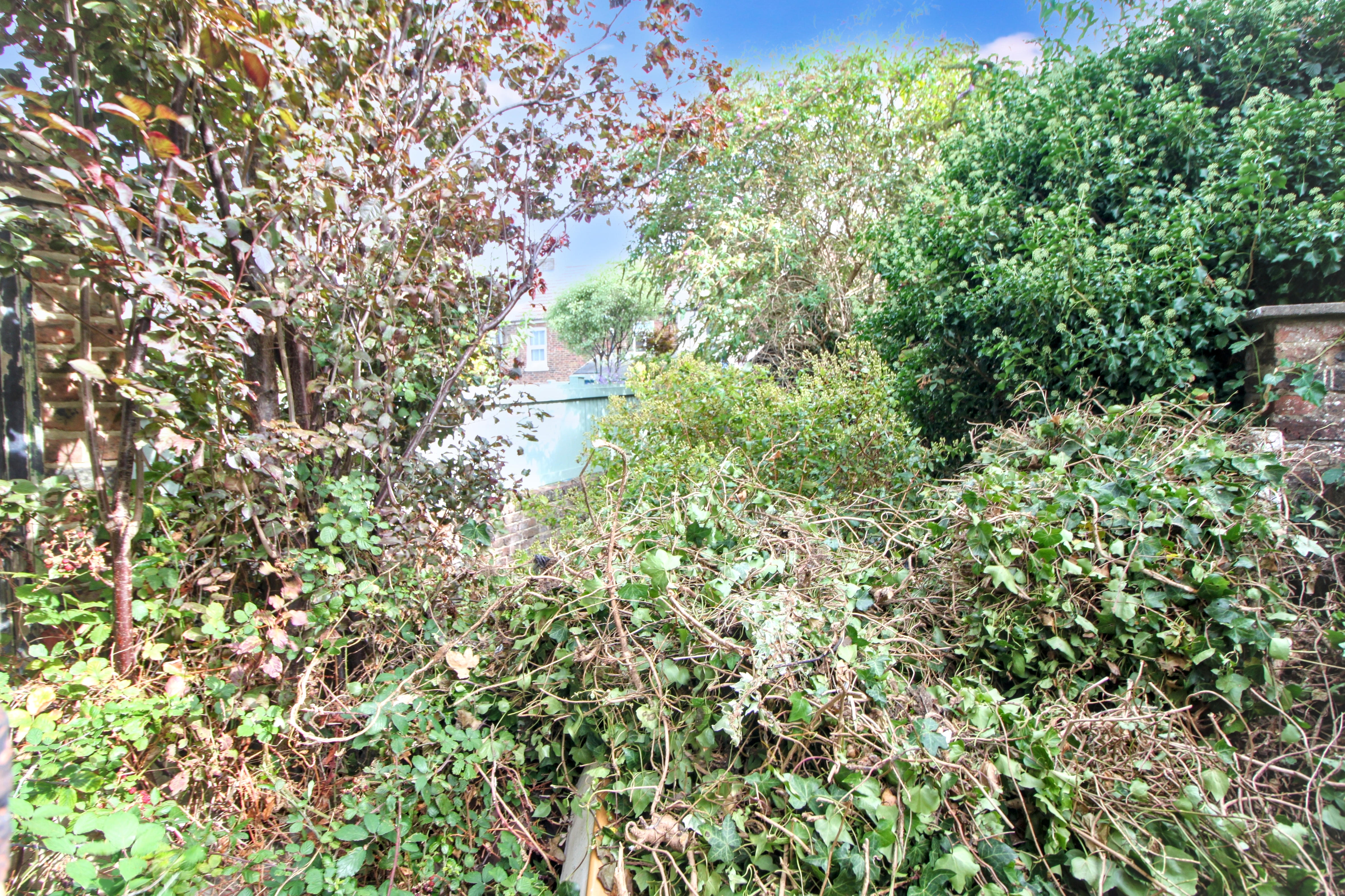 Image 16 of 17