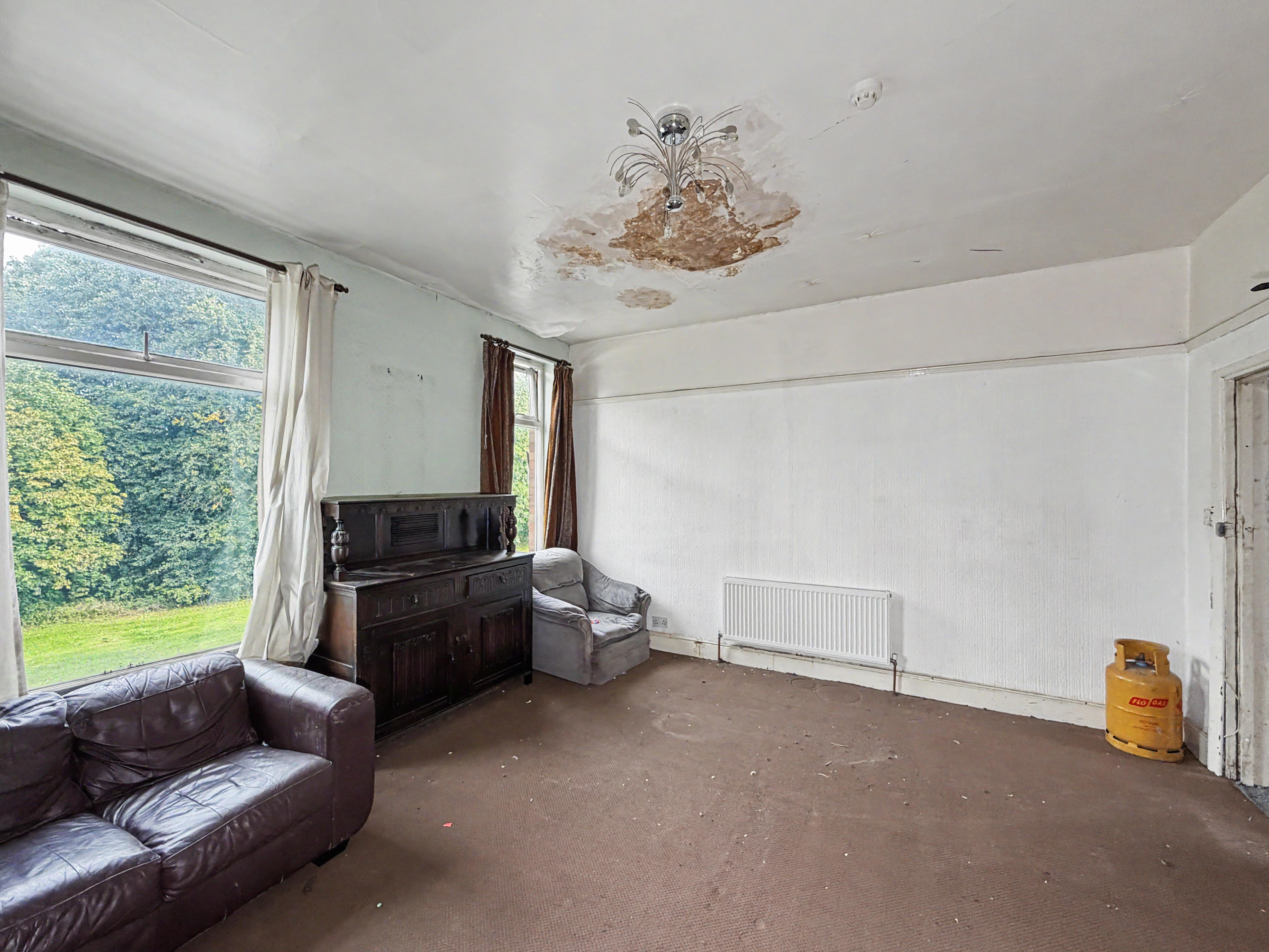 Image 11 of 20