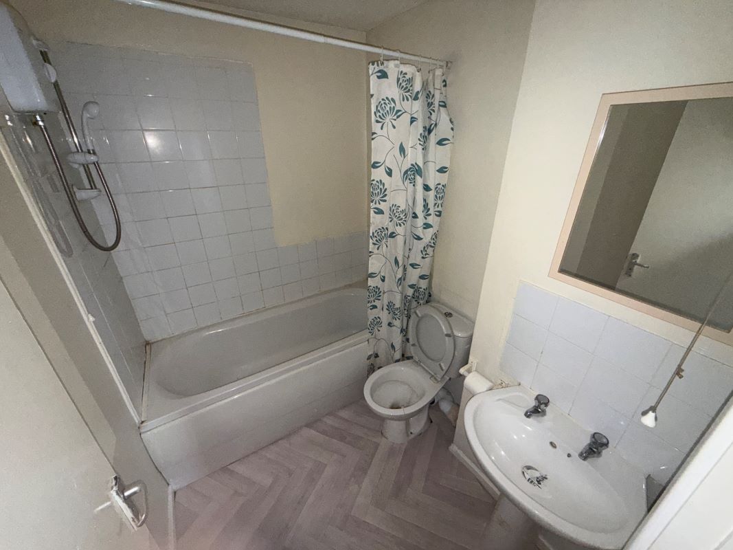 Image 7 of 7