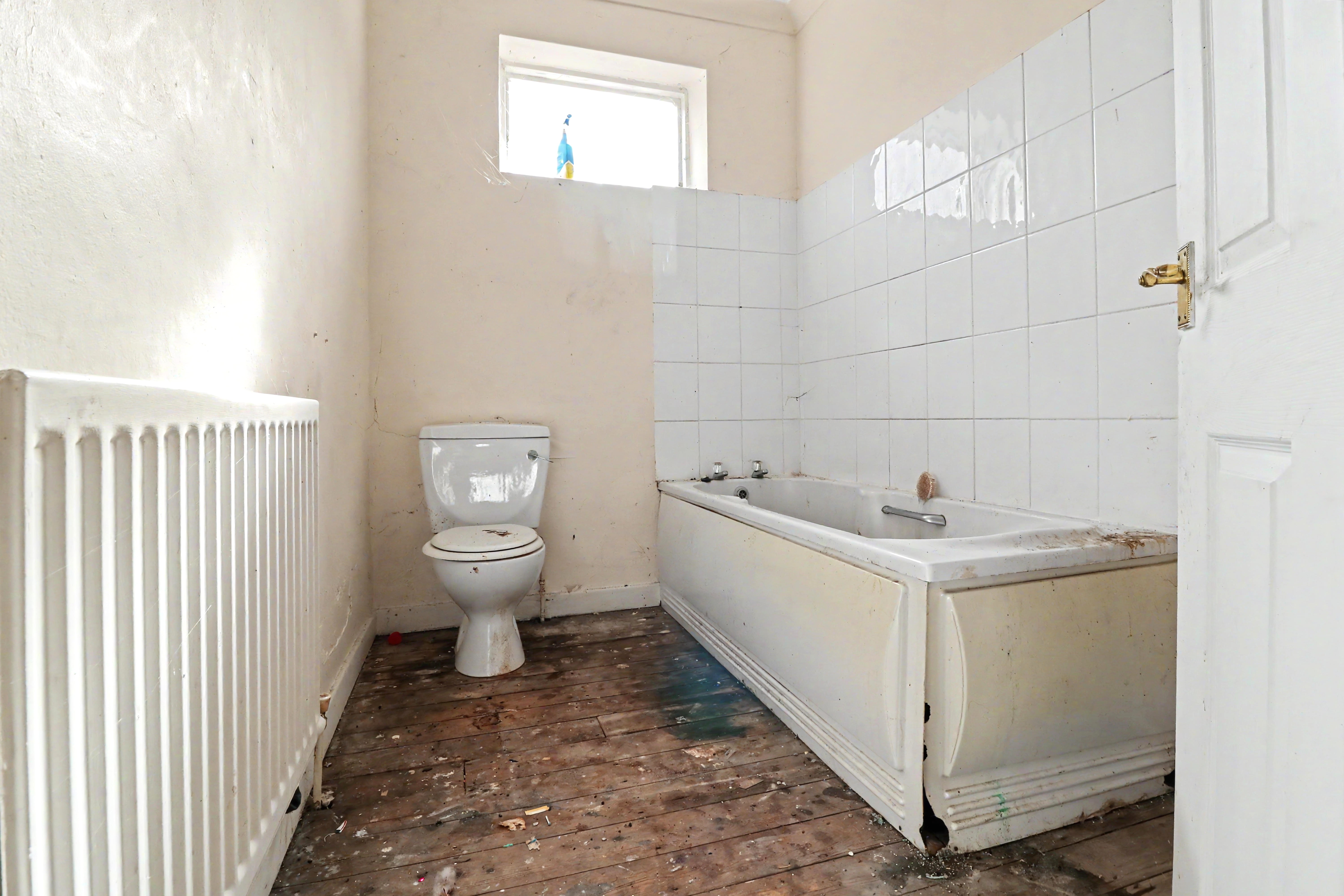 Image 11 of 13