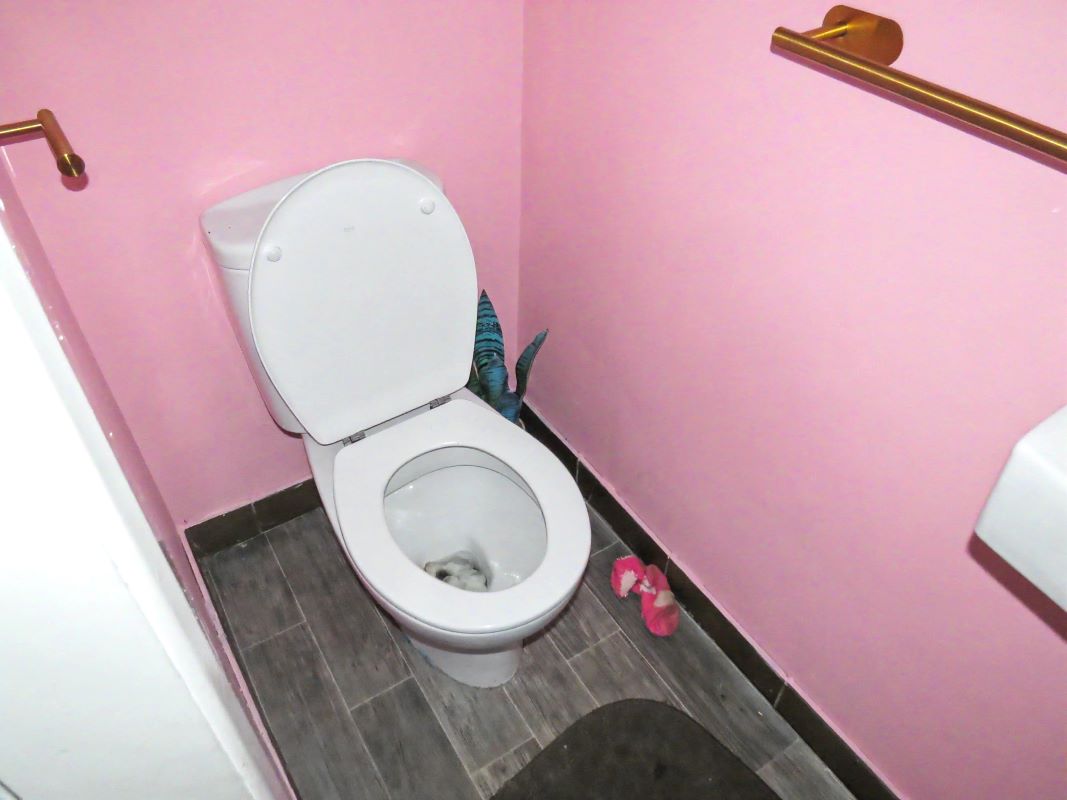Image 18 of 22