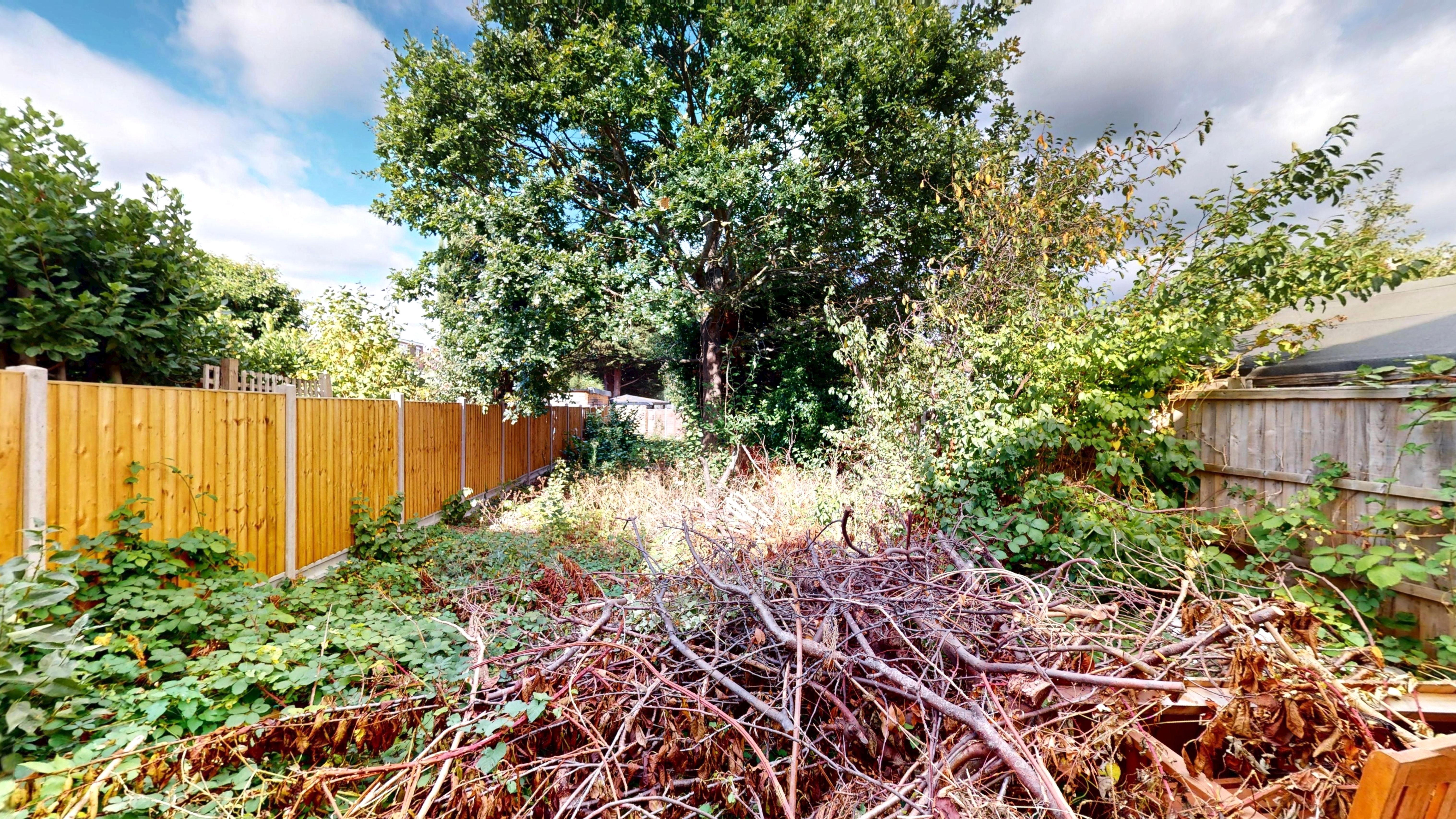 Image 10 of 10