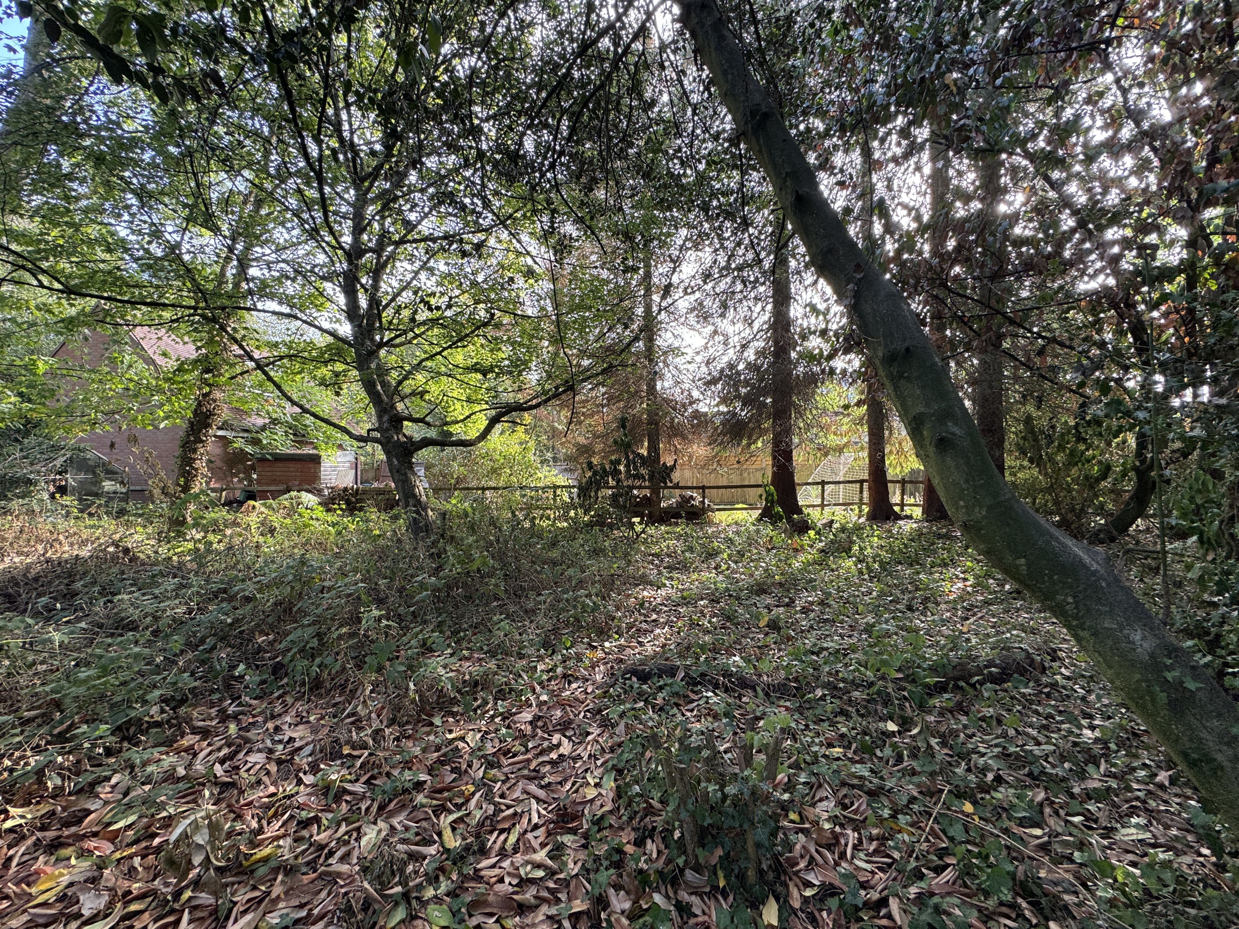 Image 4 of 4