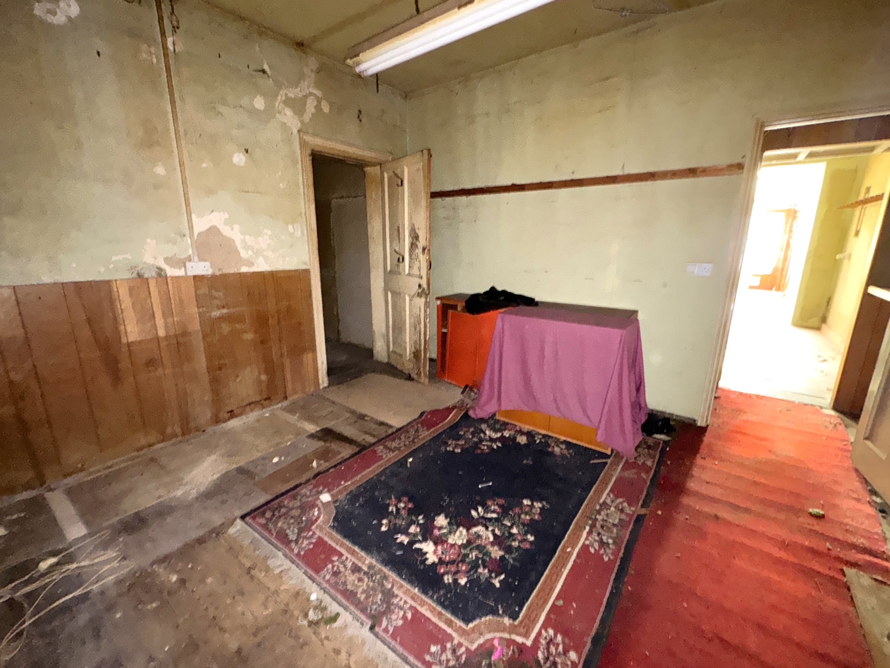 Image 11 of 24