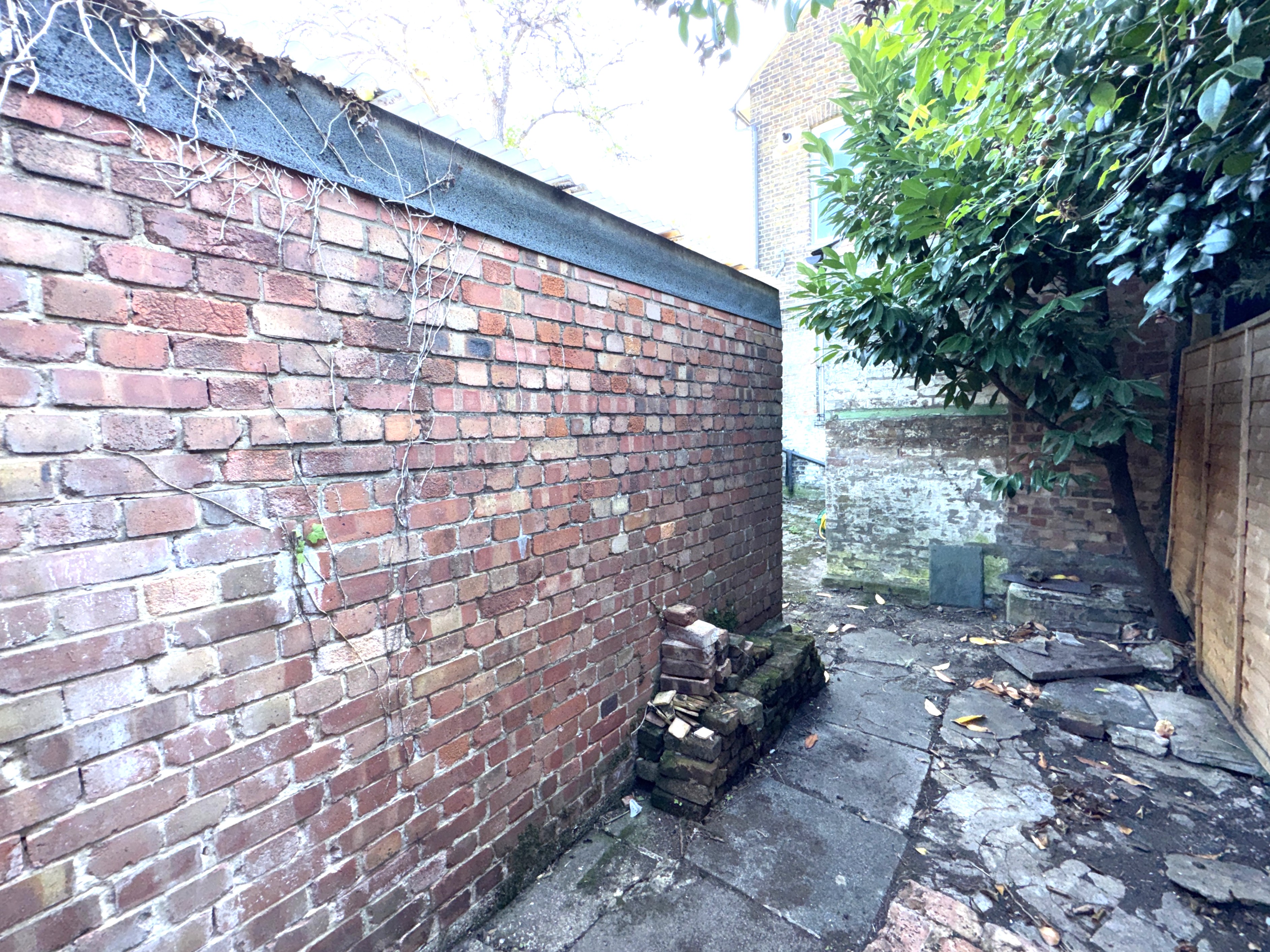 Image 22 of 24