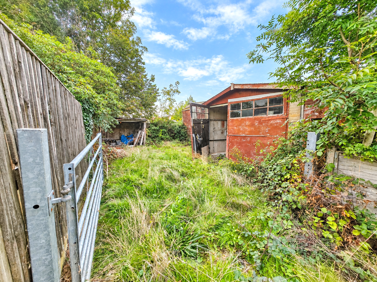 Image 2 of 11