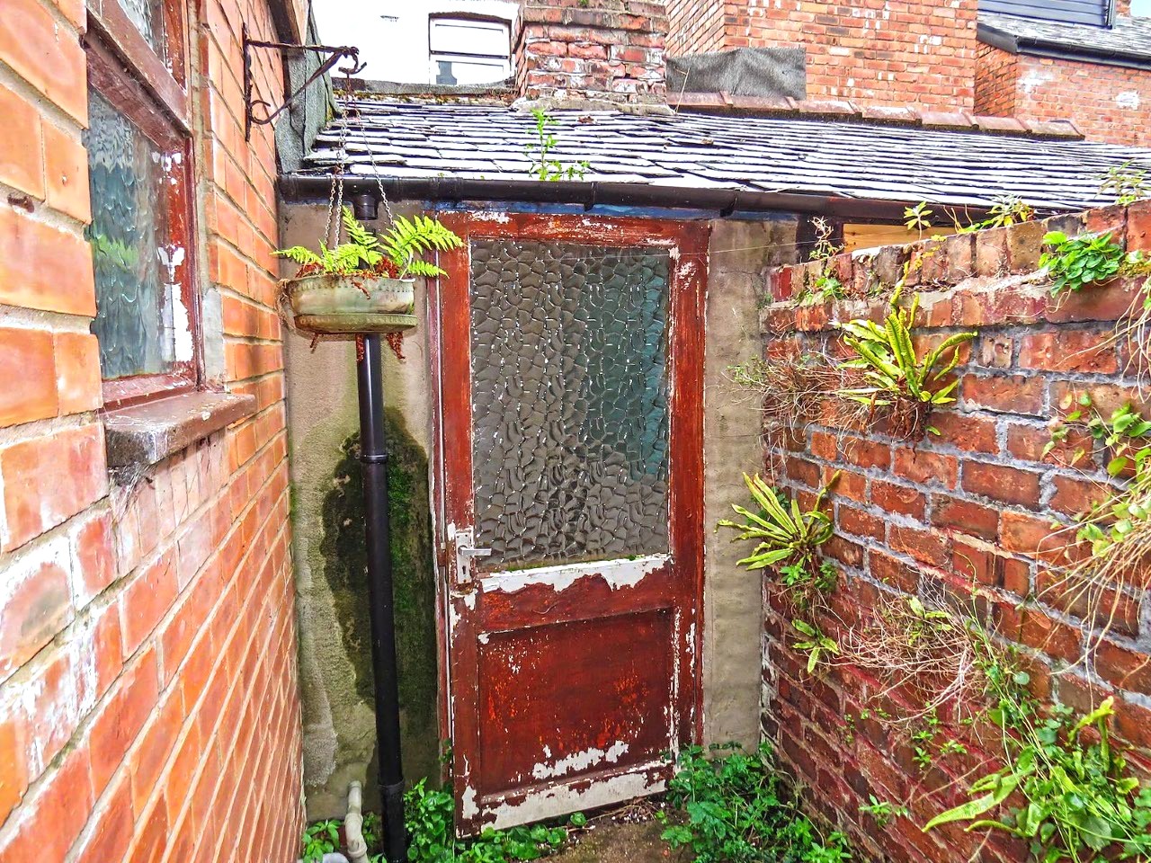 Image 14 of 16