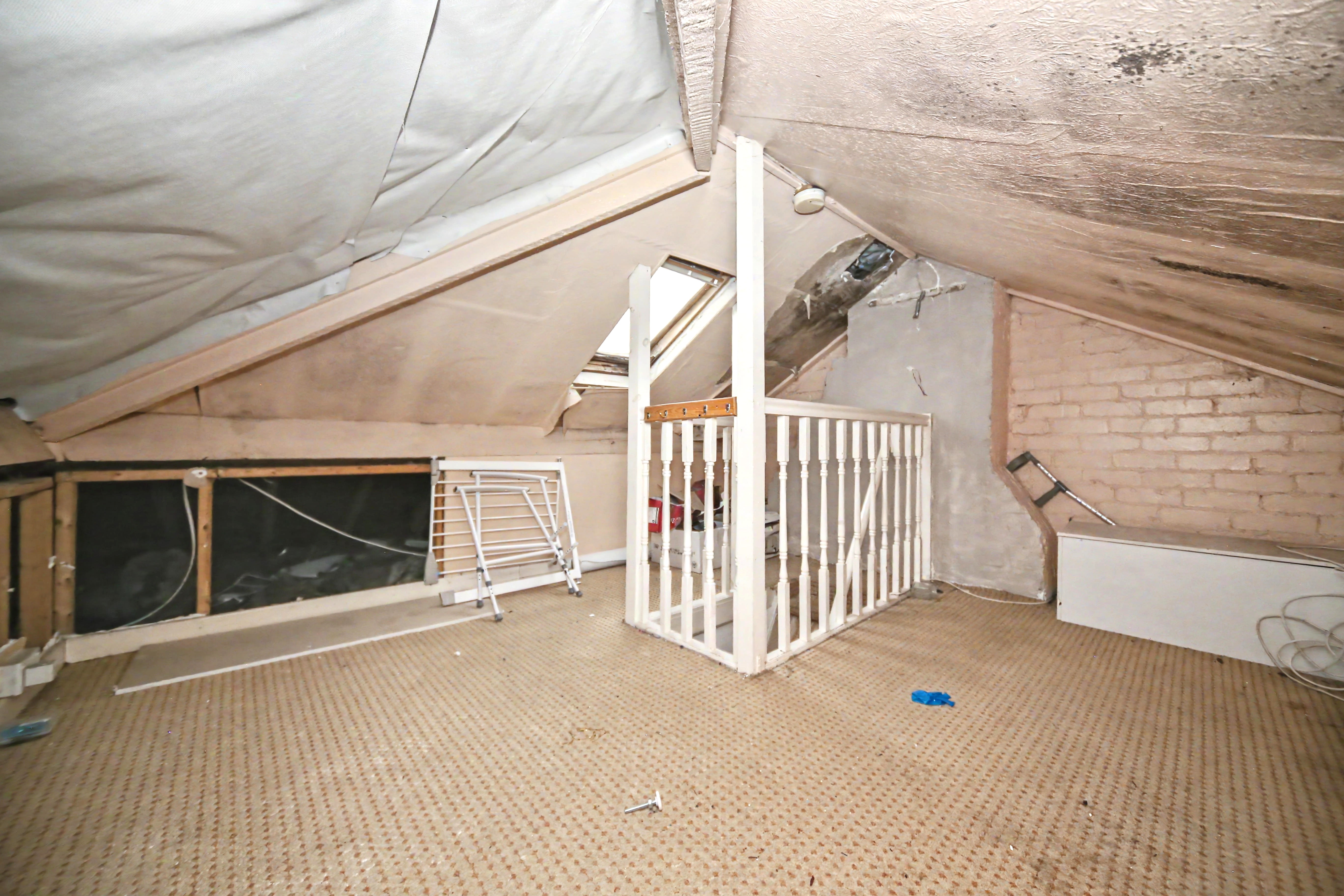 Image 19 of 24