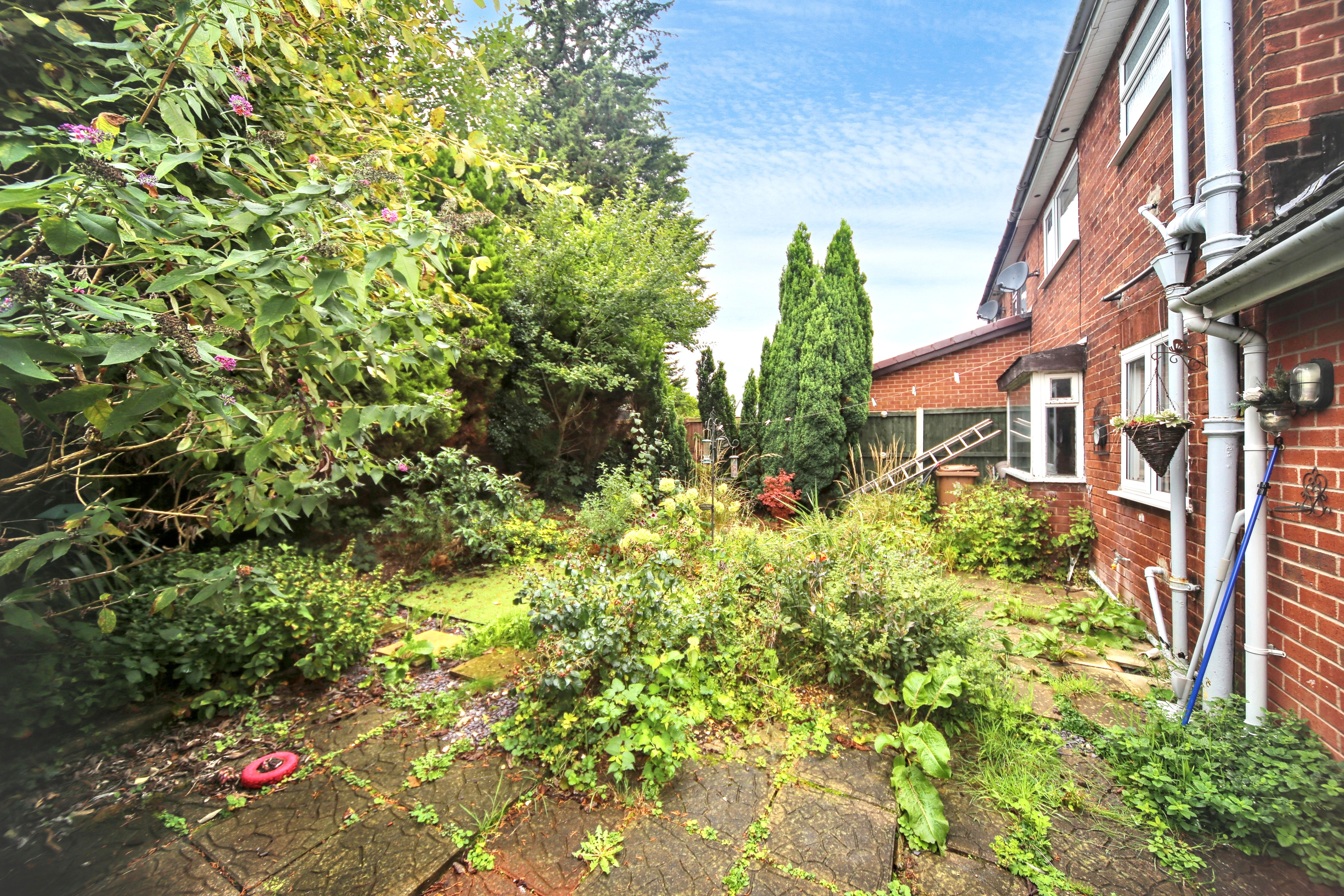Image 22 of 24