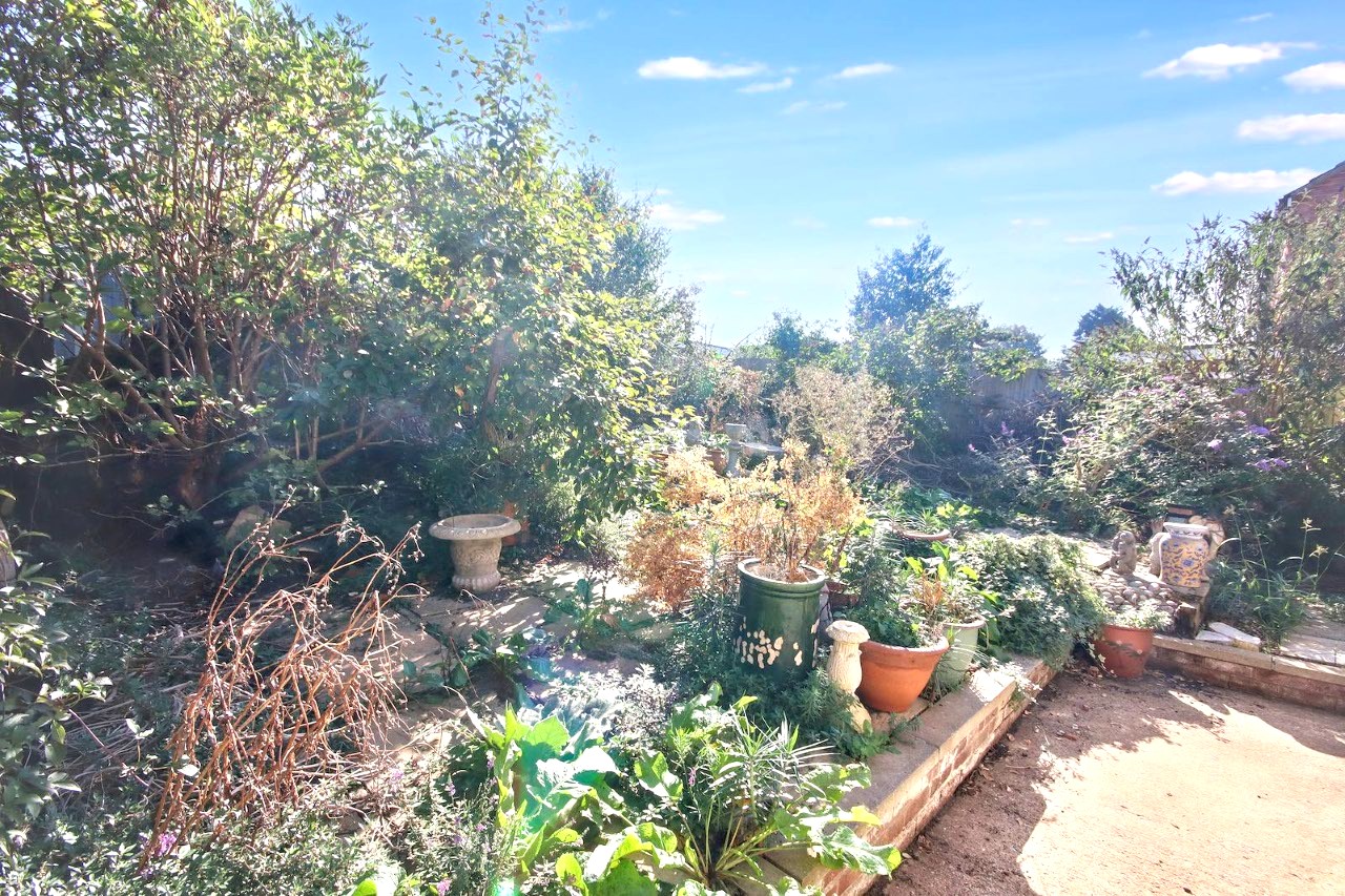 Image 18 of 20