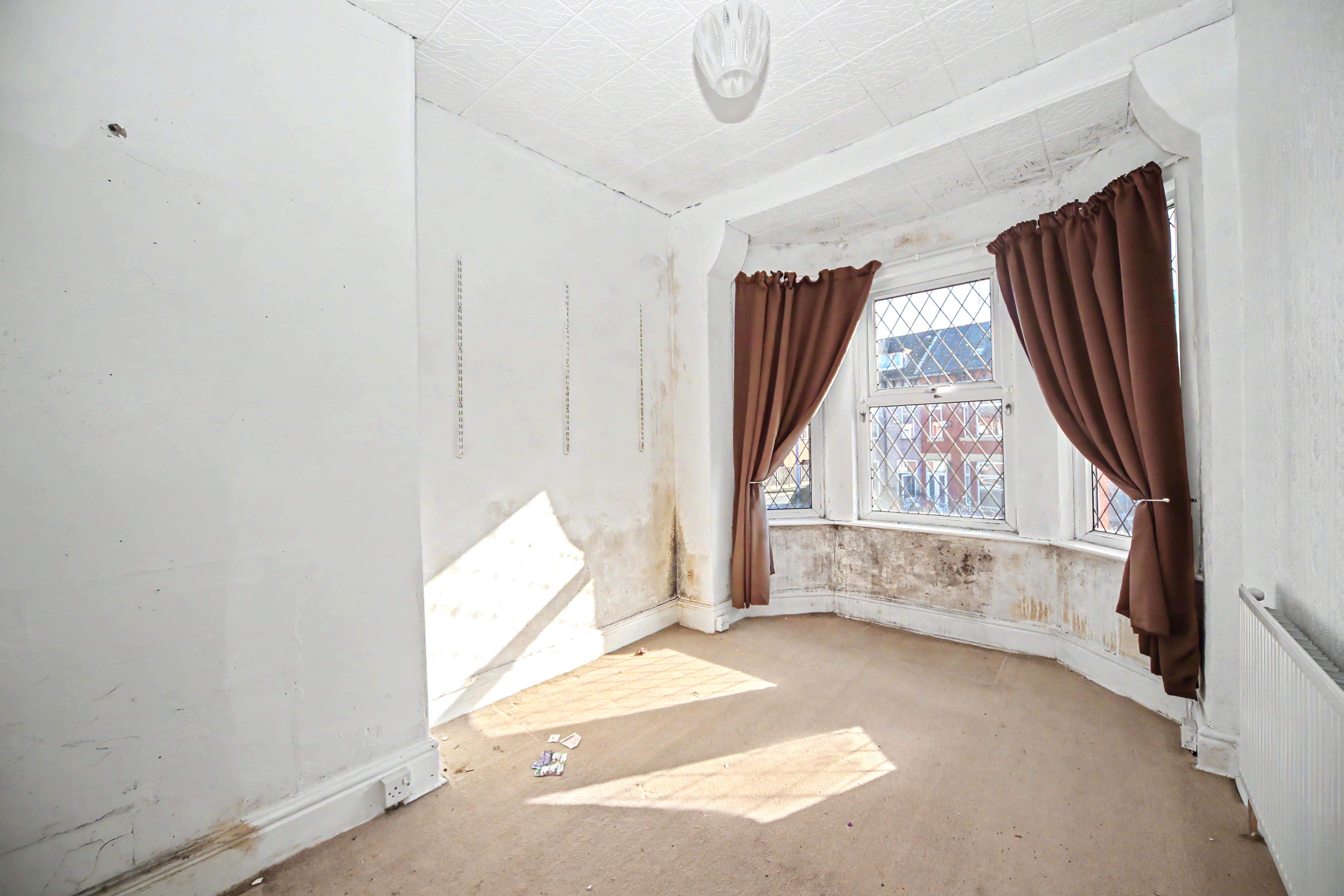 Image 15 of 23