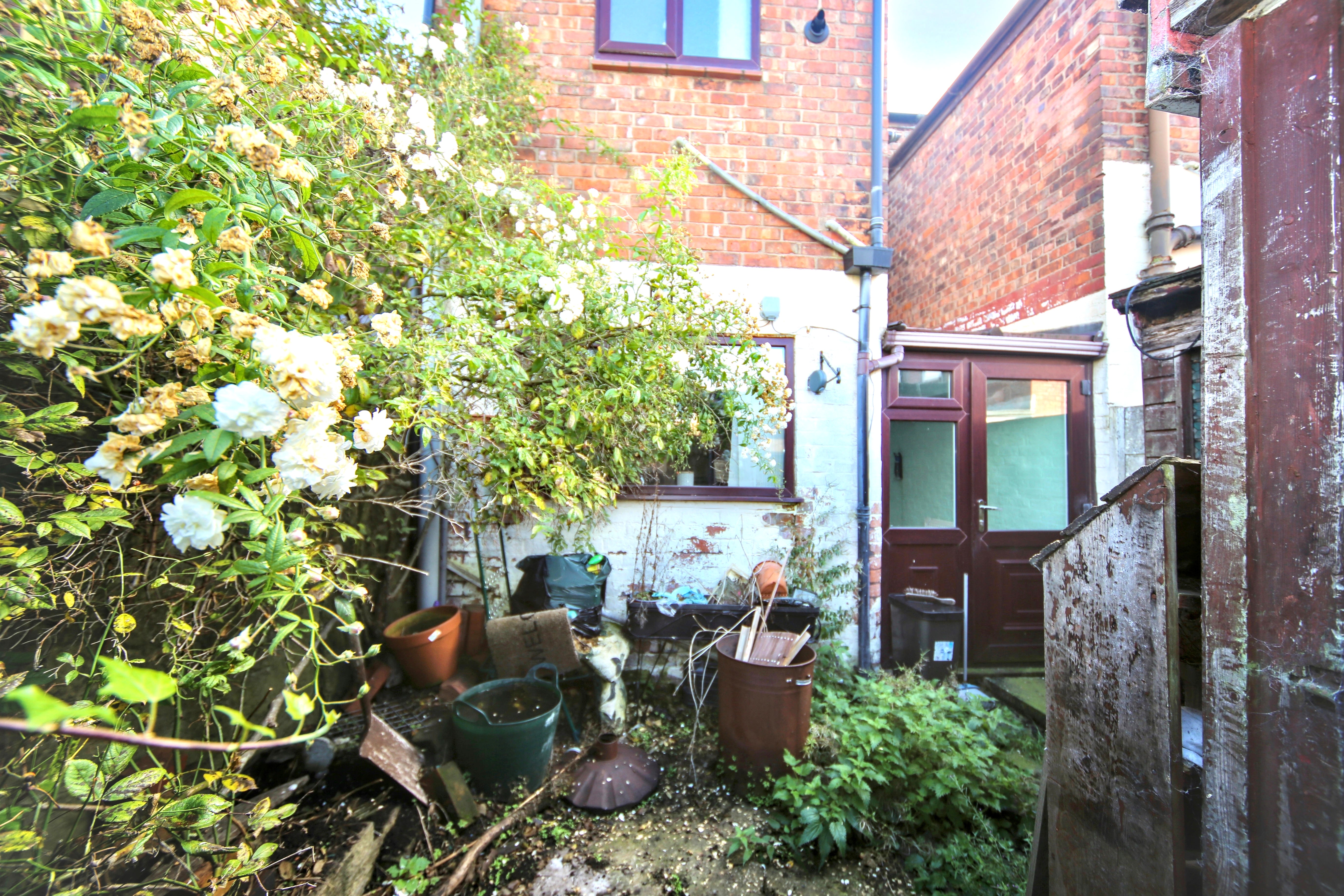 Image 21 of 22