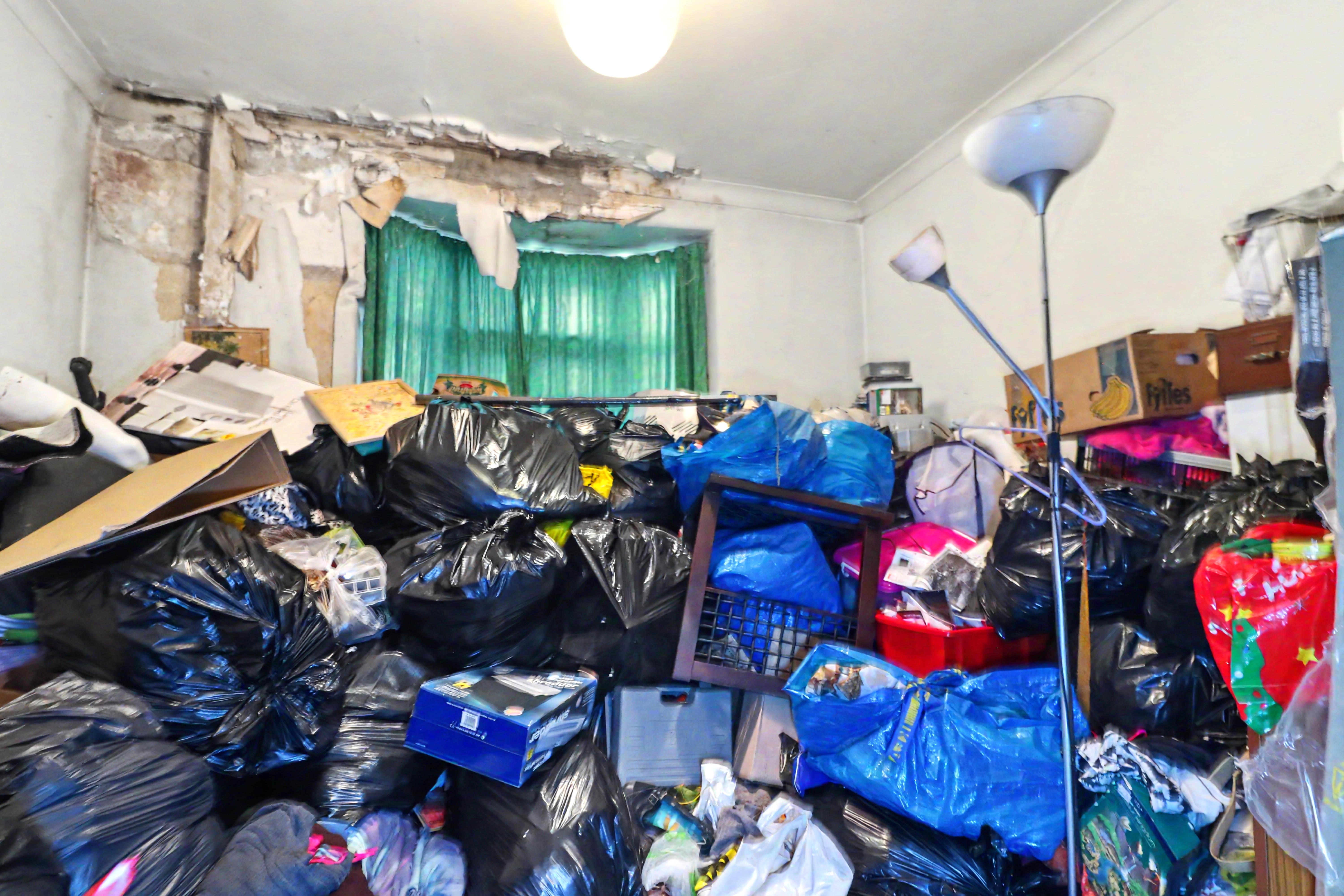 Image 4 of 12