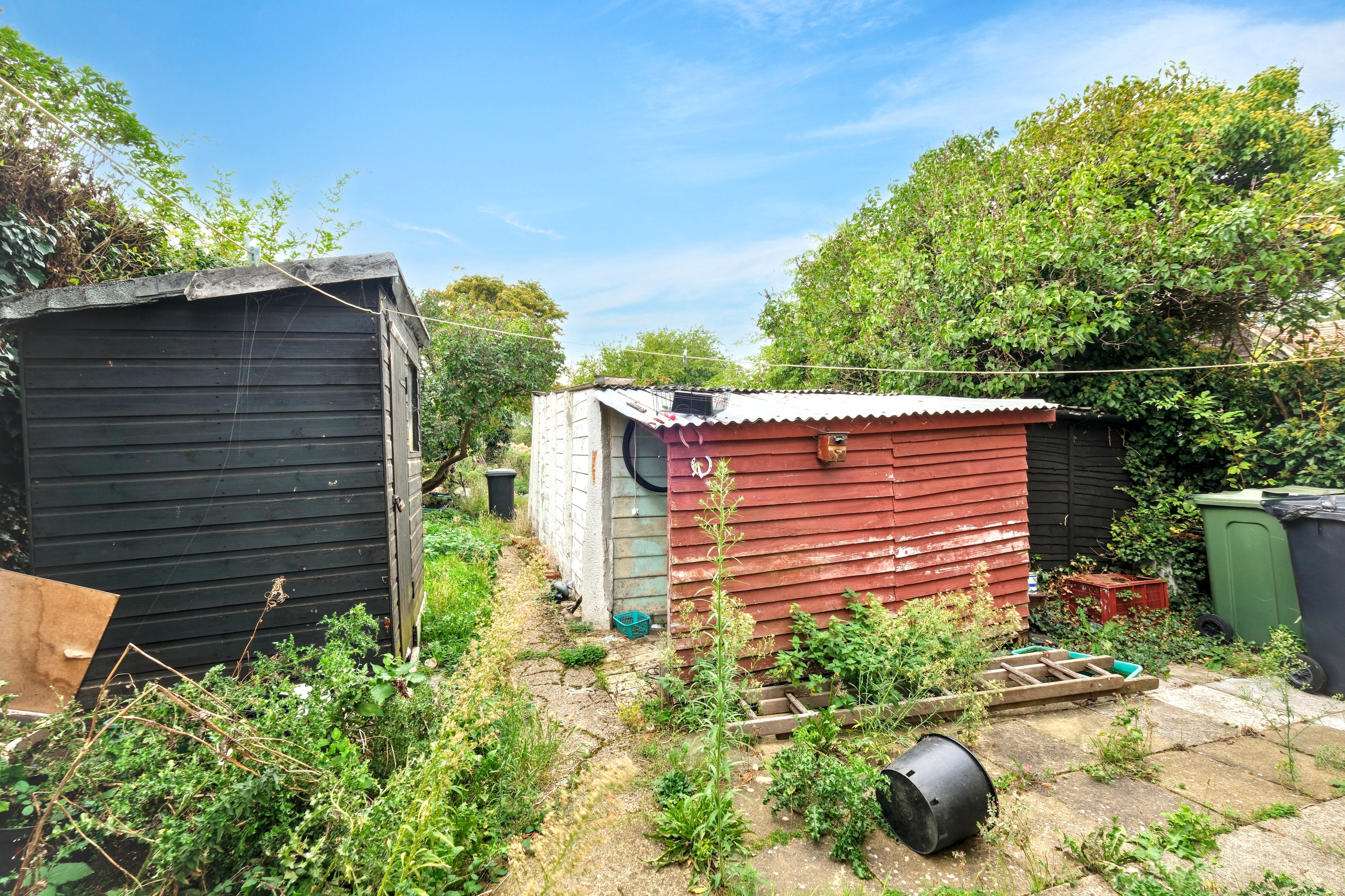 Image 17 of 19
