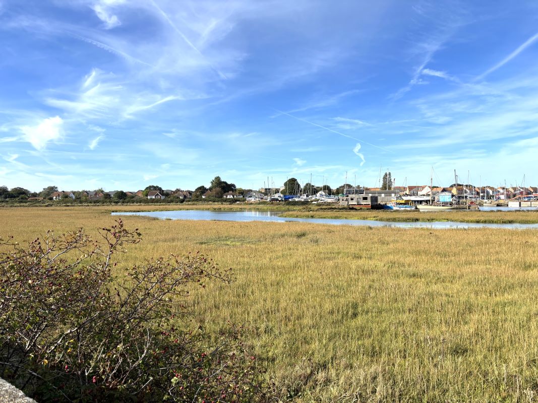 Image 4 of 4
