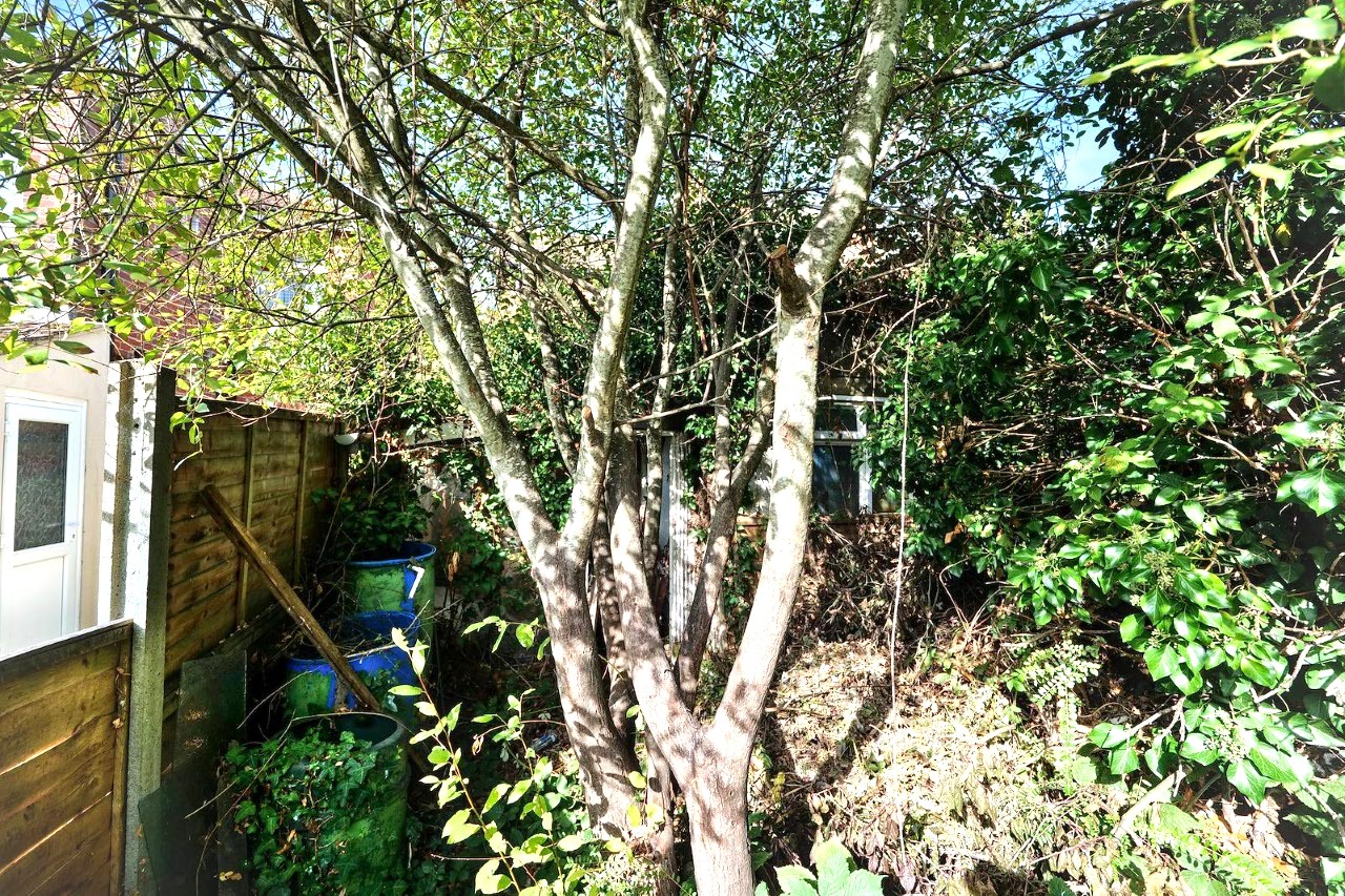 Image 16 of 18