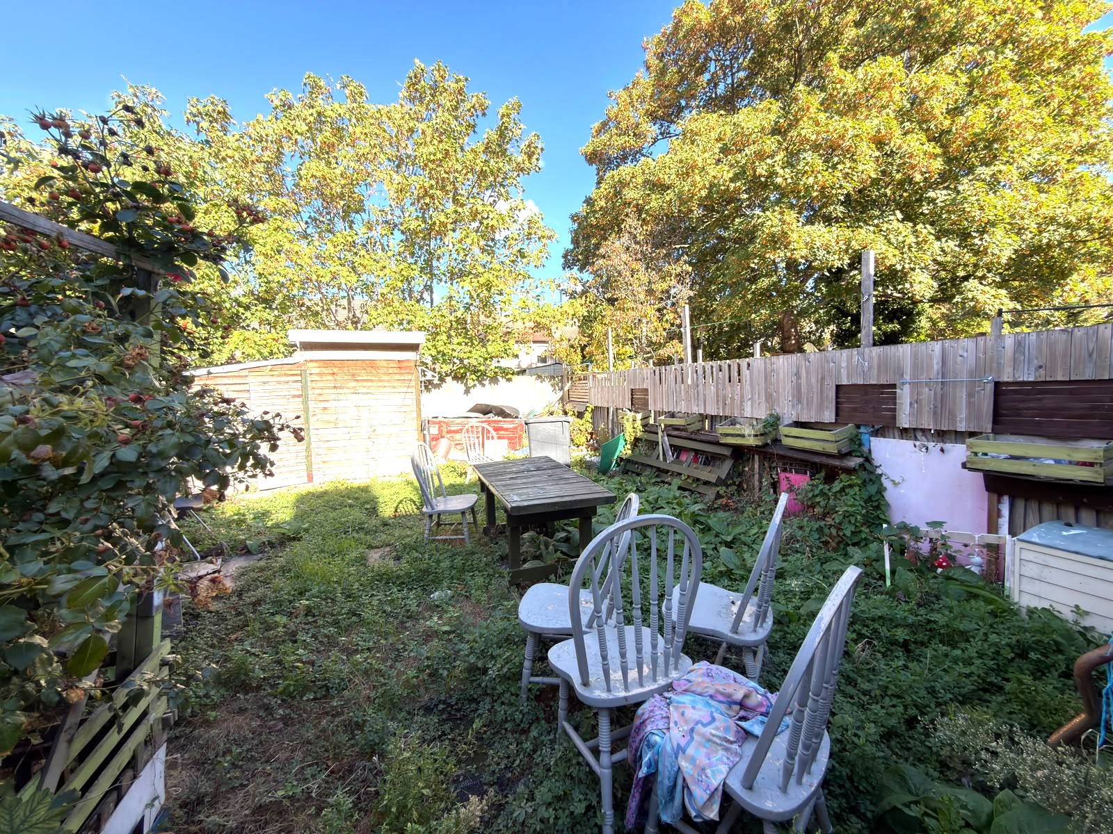 Image 20 of 24