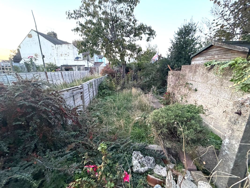 Image 10 of 11