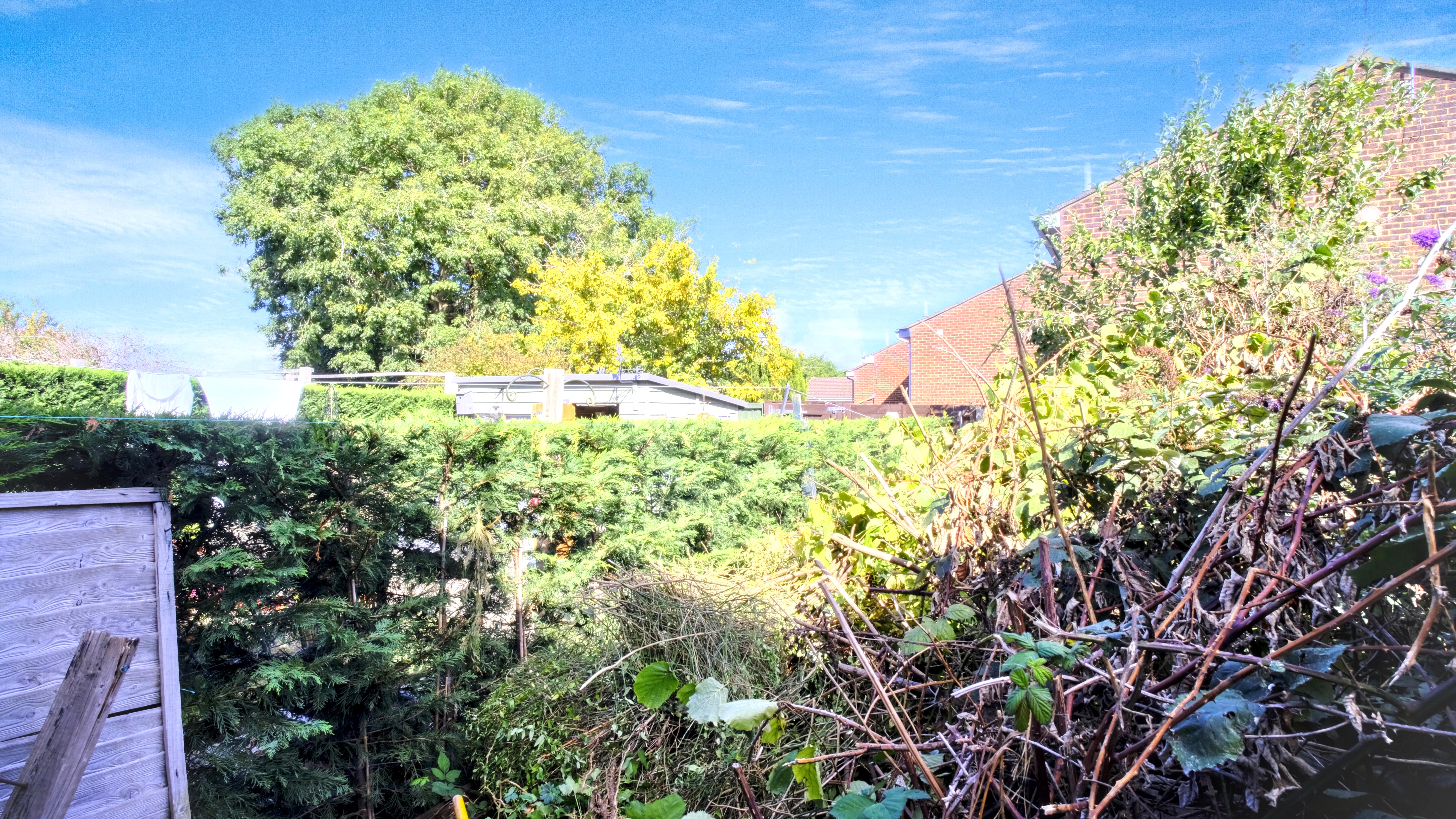 Image 16 of 17
