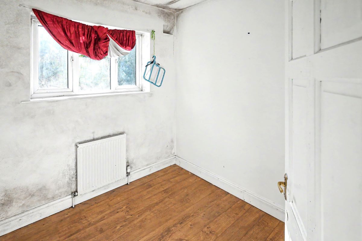 Image 7 of 16