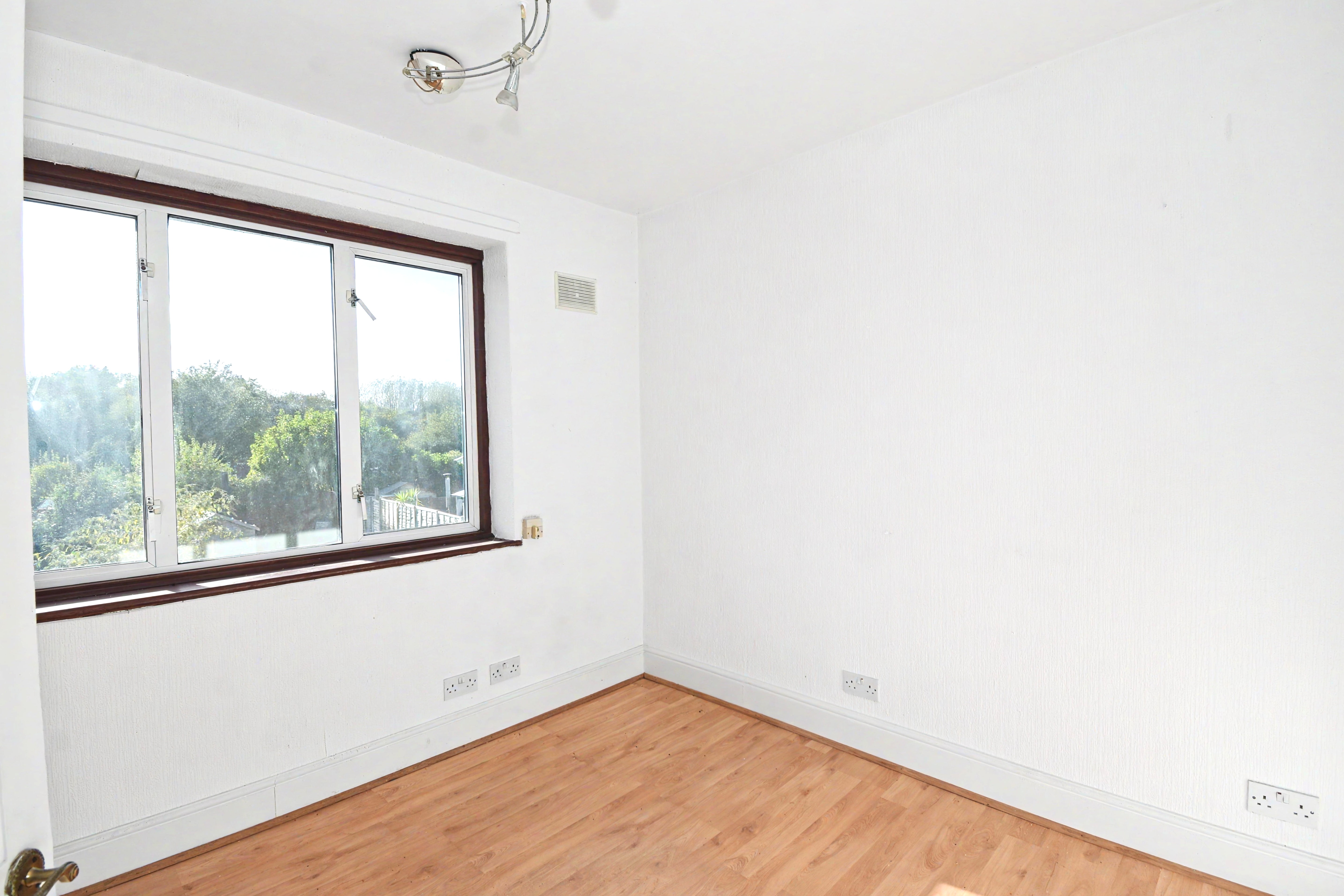 Image 12 of 20
