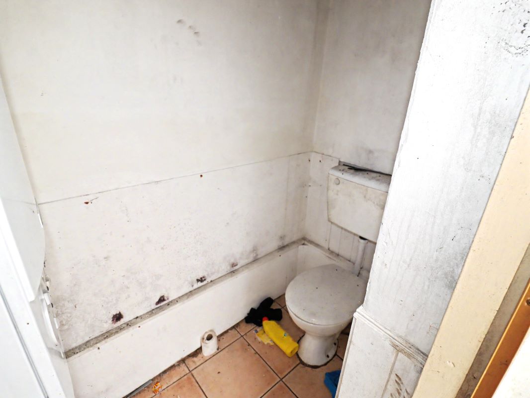 Image 8 of 18
