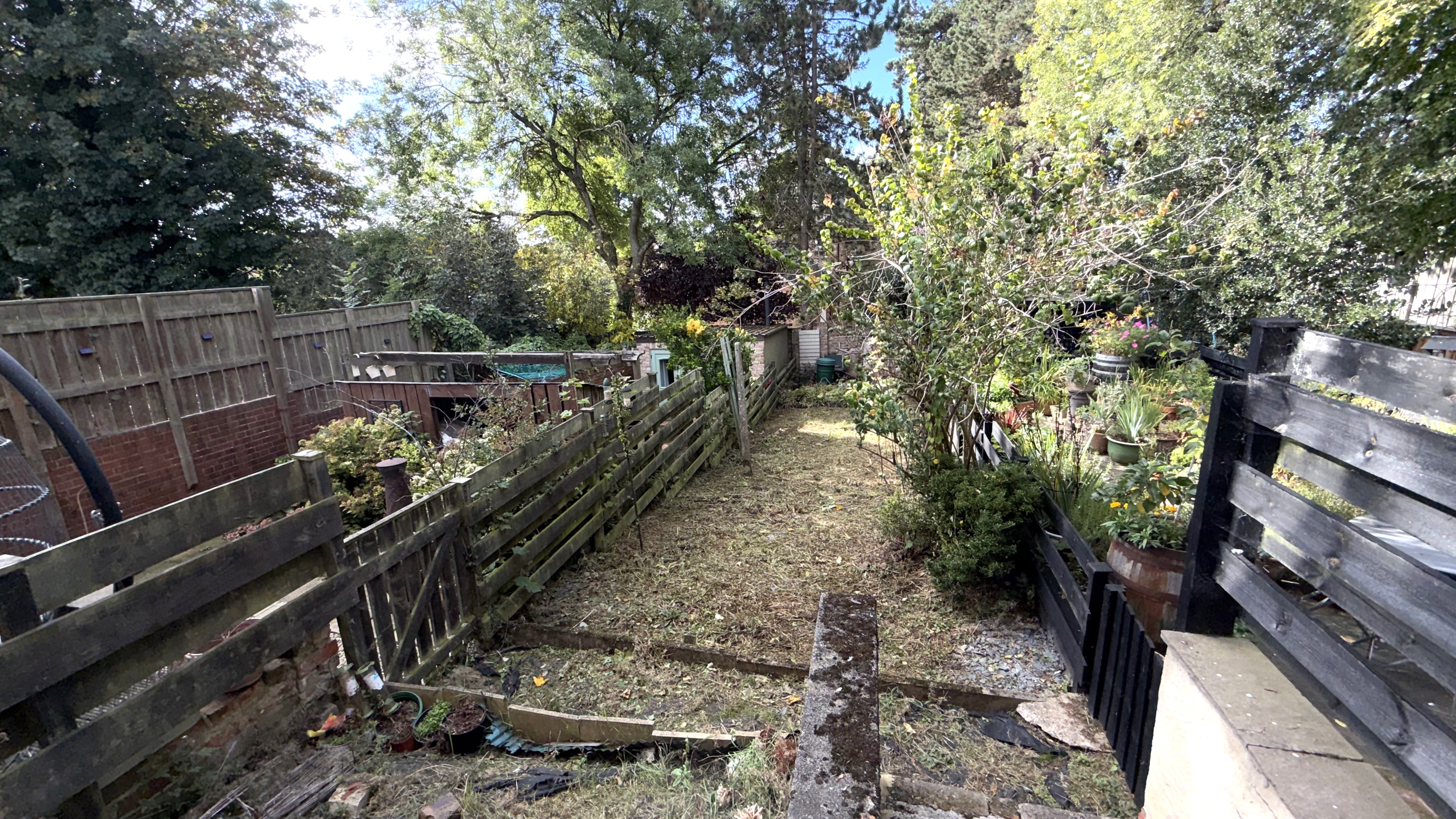 Image 10 of 11
