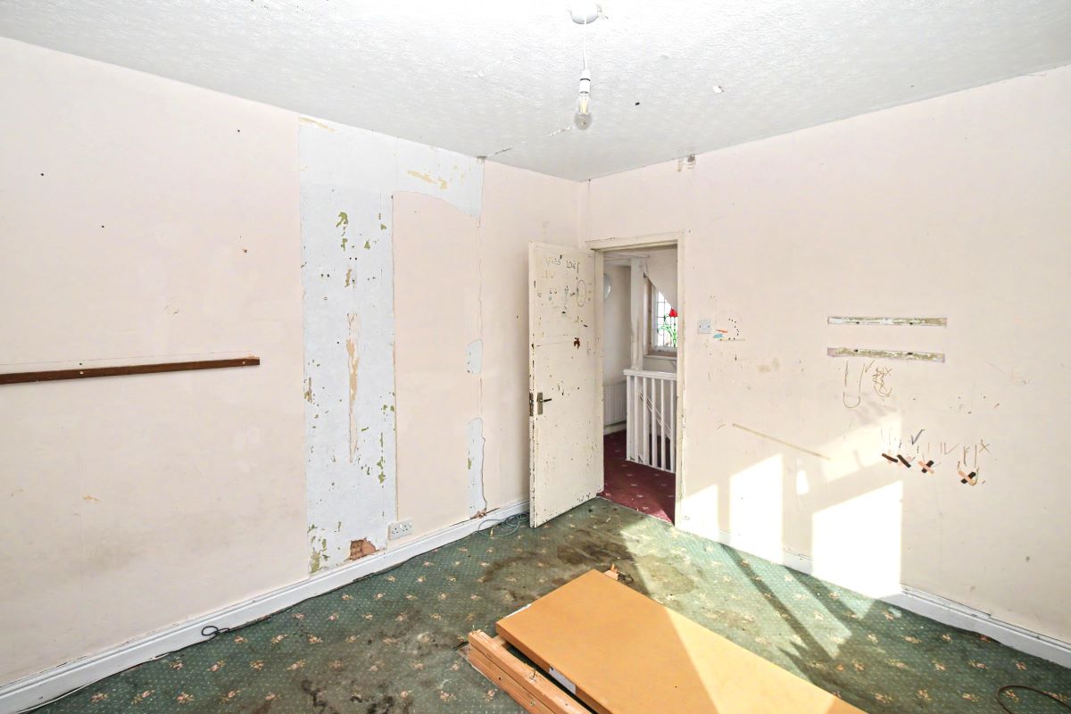 Image 12 of 25