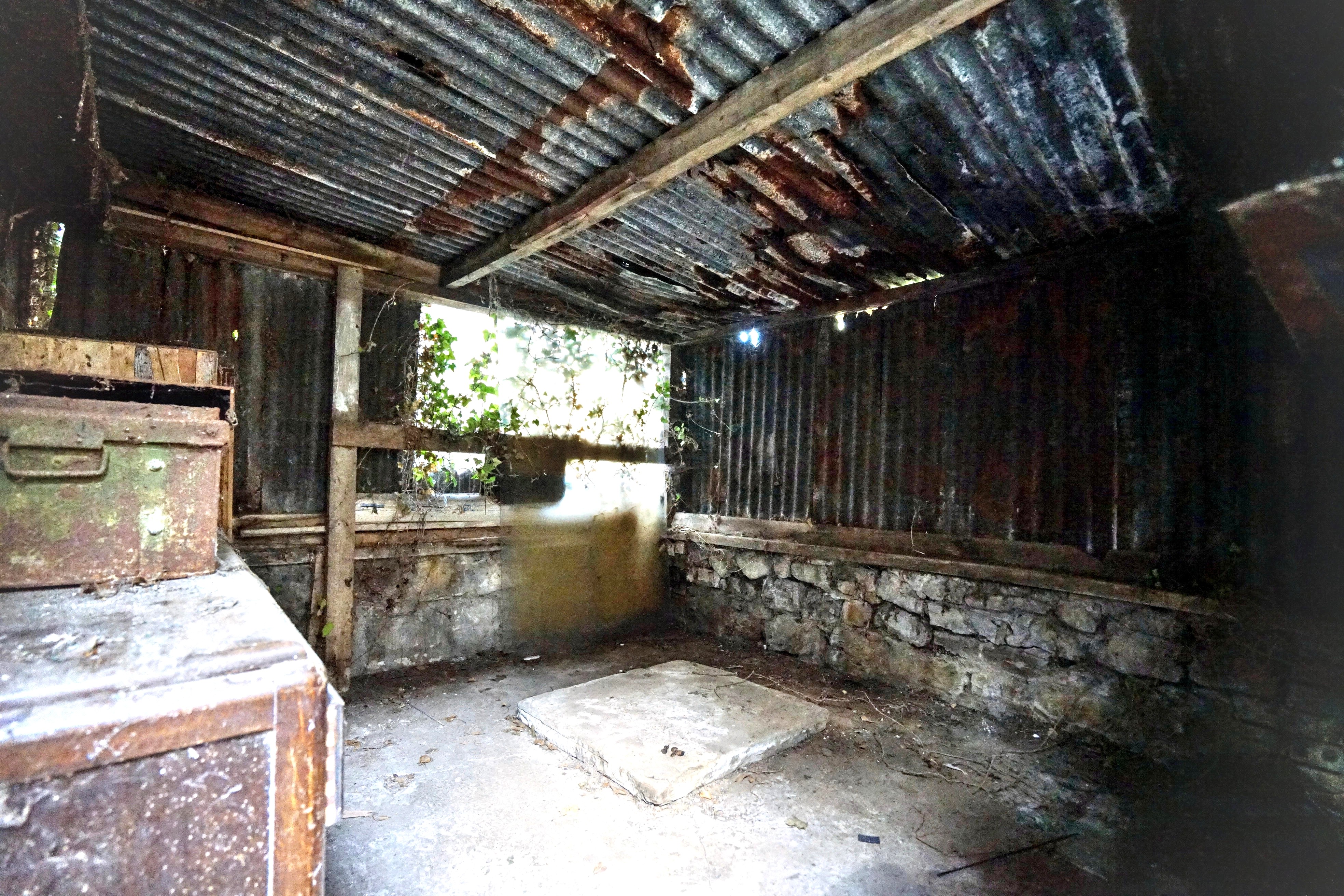 Image 19 of 22