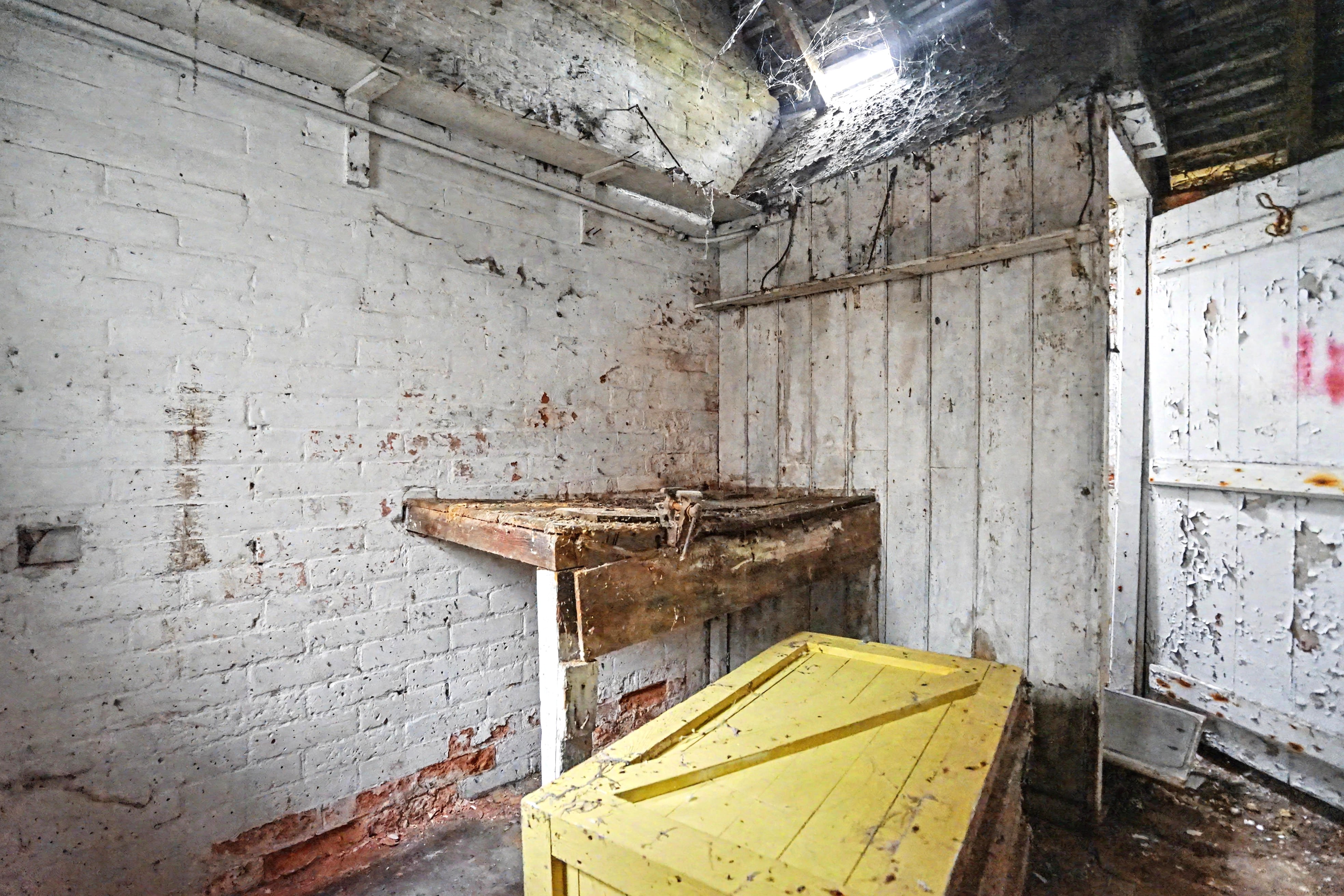 Image 20 of 22
