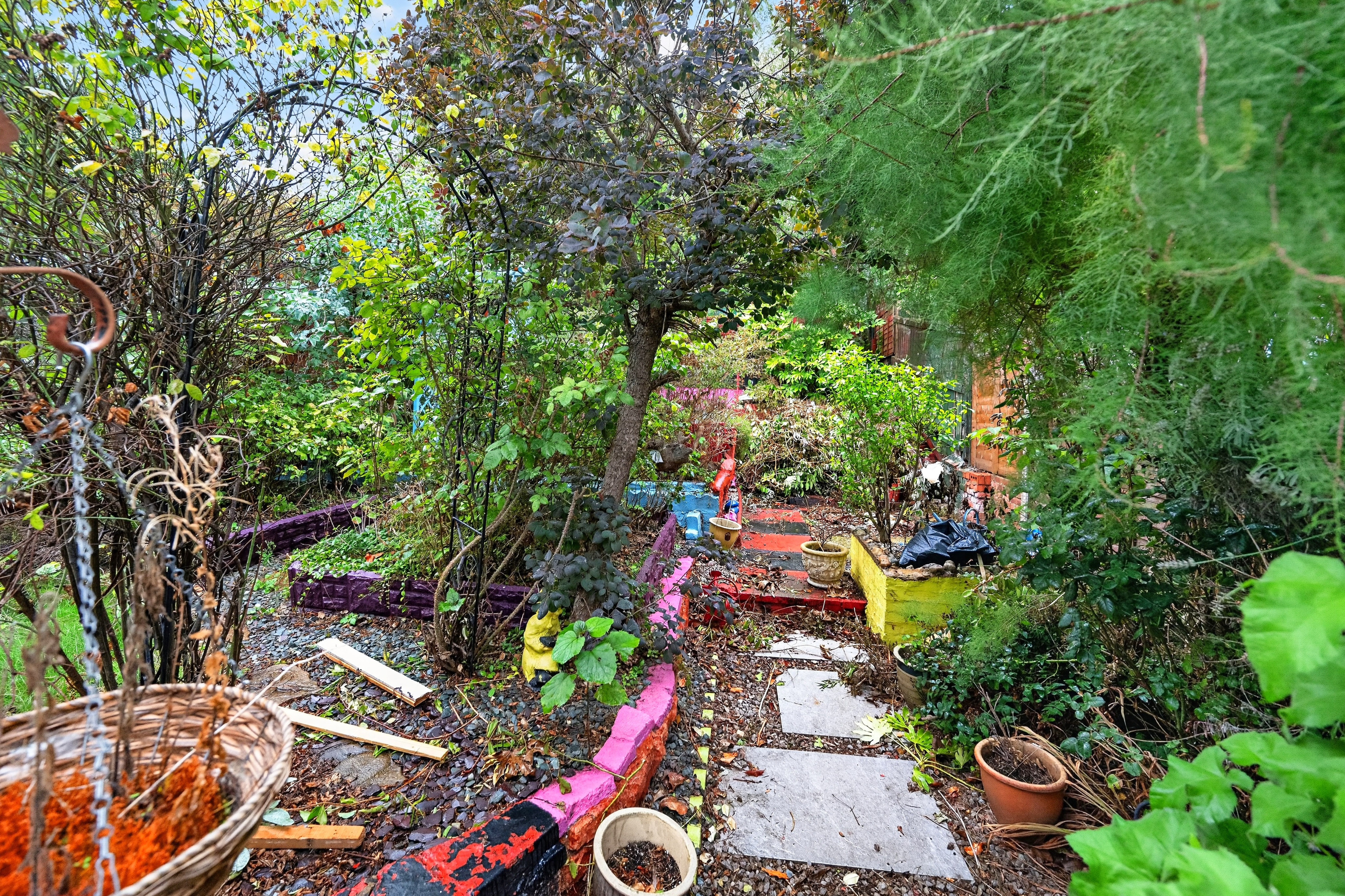 Image 13 of 13
