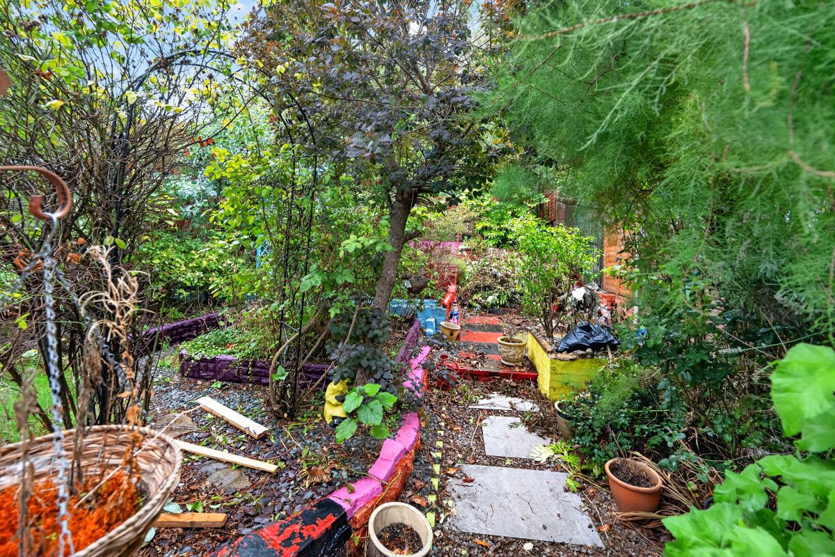 Image 13 of 13