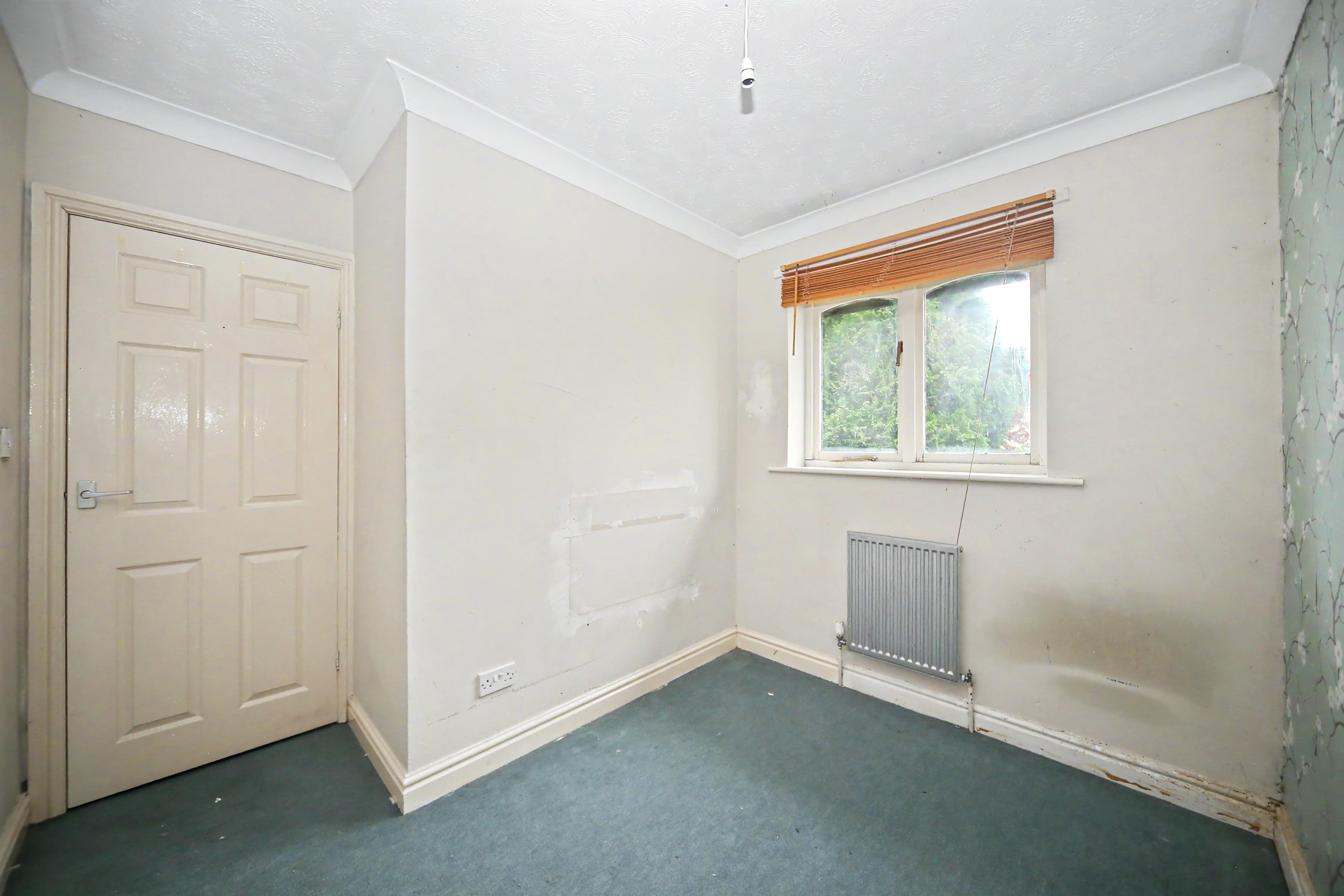 Image 11 of 19