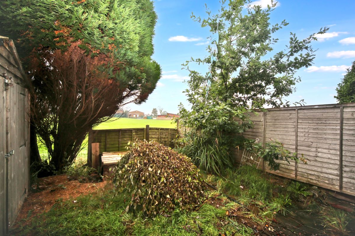 Image 17 of 19