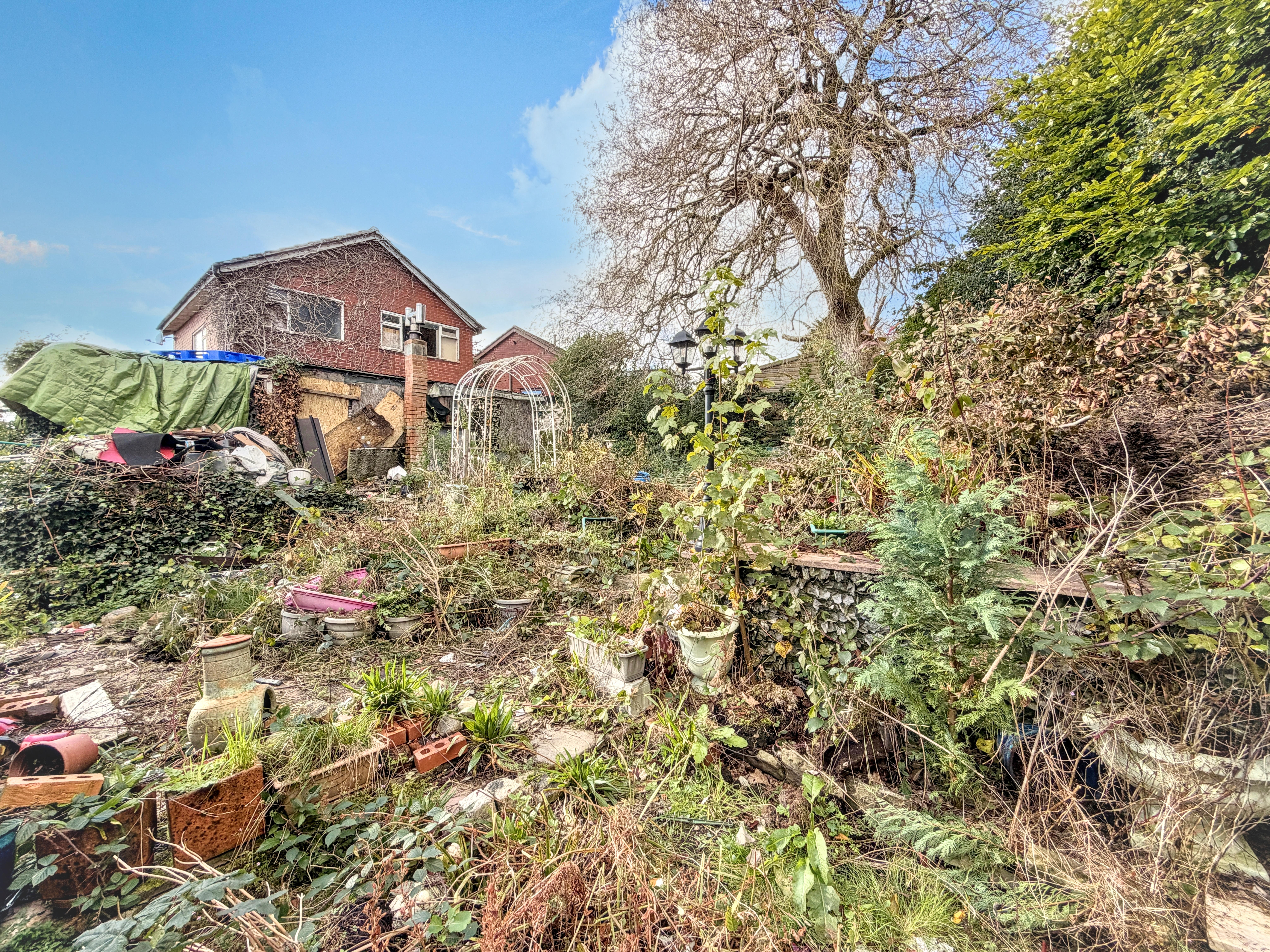Image 15 of 17