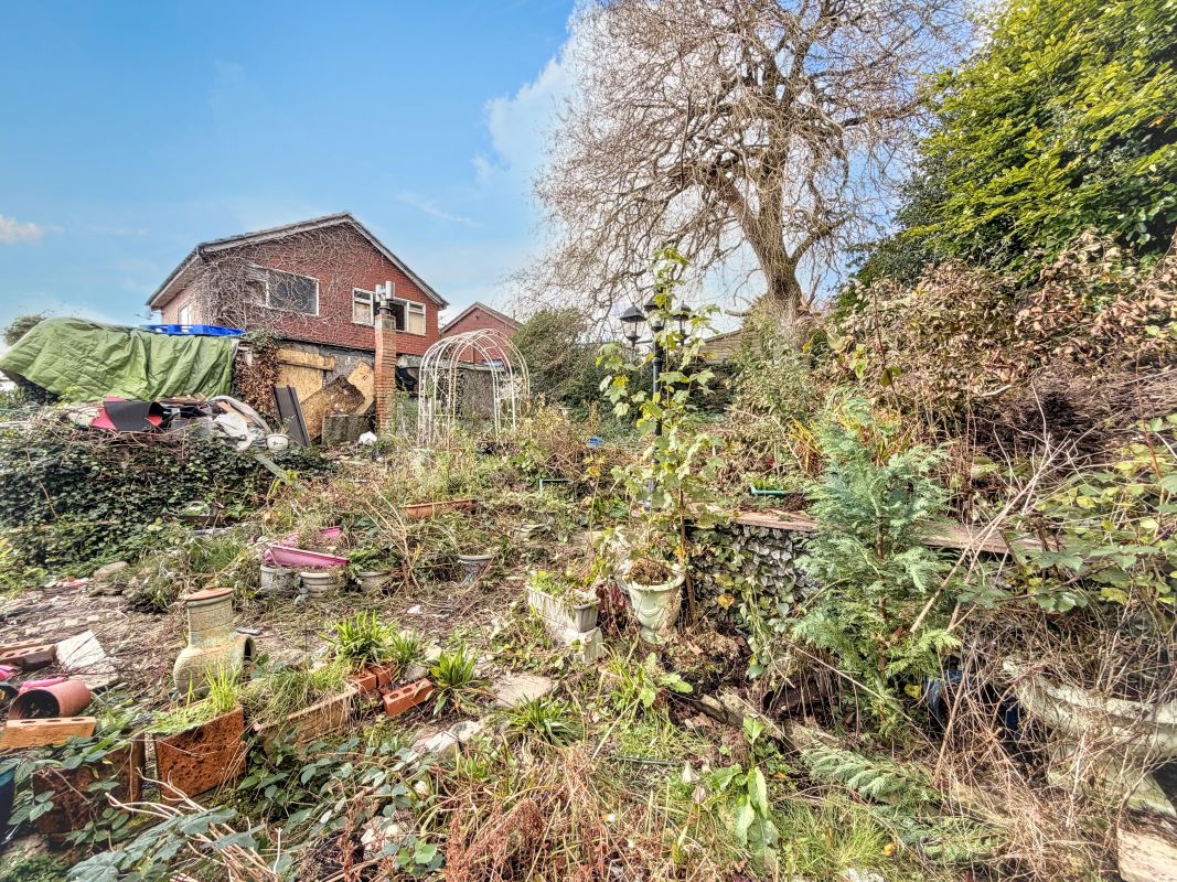 Image 15 of 17