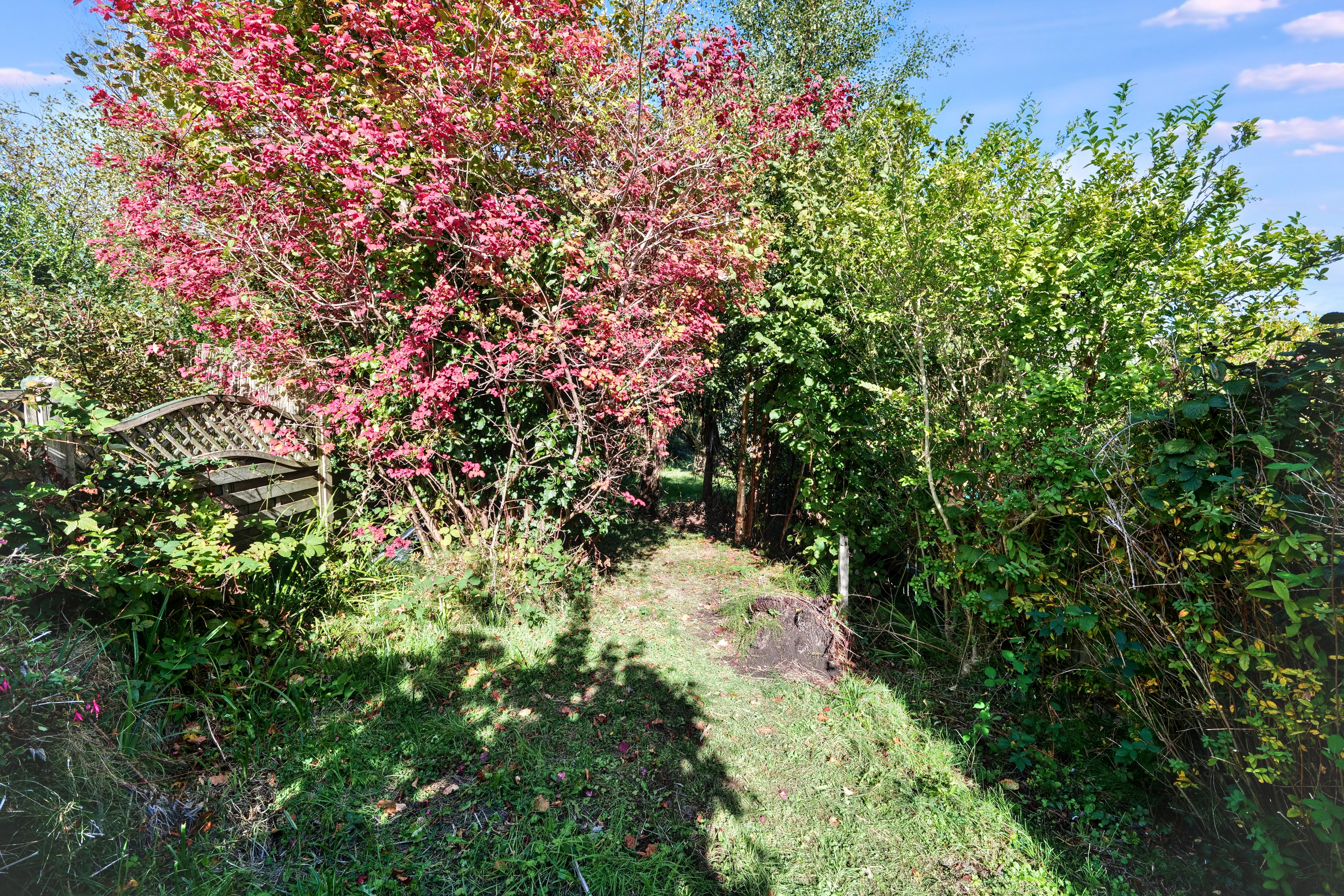 Image 17 of 19