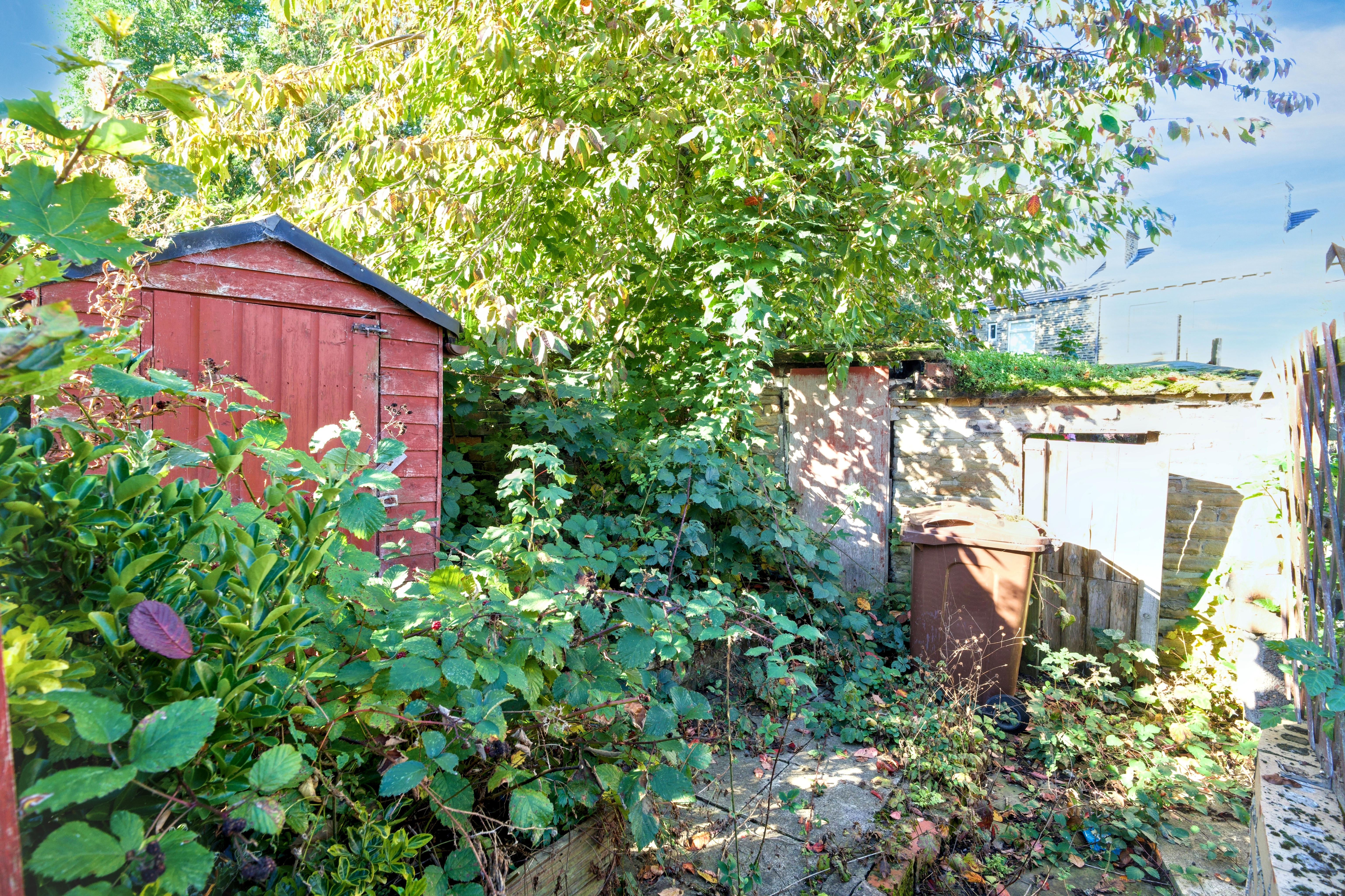 Image 14 of 15