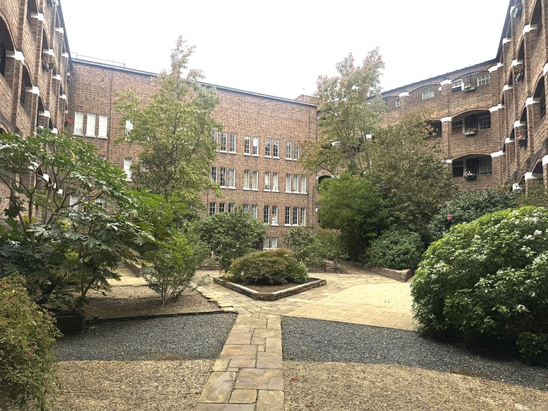 Image 12 of 12